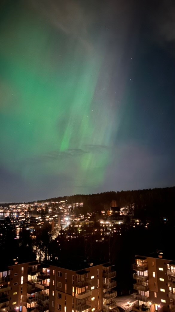Den høye, frie beliggenheten kan på klare netter gi et glimt av nordlyset. Selgers bilde. Galleribilde