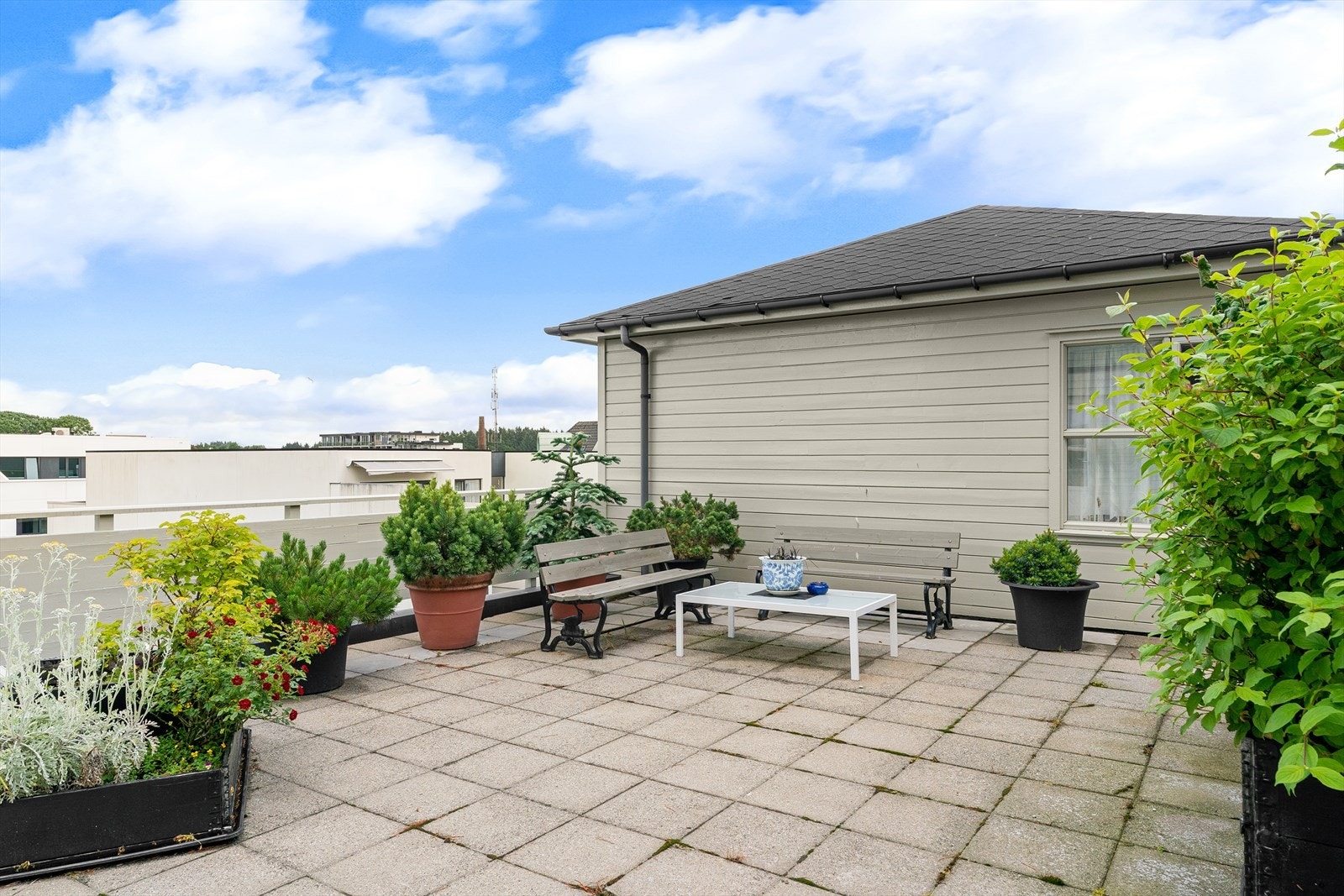 Felles takterrasse for sameiets beboere. Galleribilde