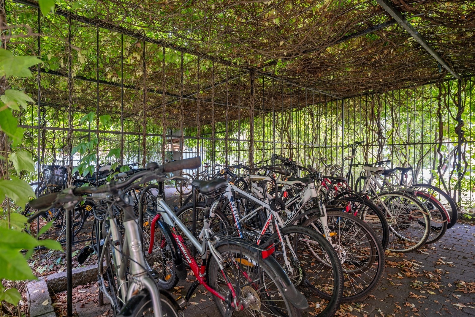 Trygg og skjermet plass til tohjulingen - rett i bakgården. Galleribilde