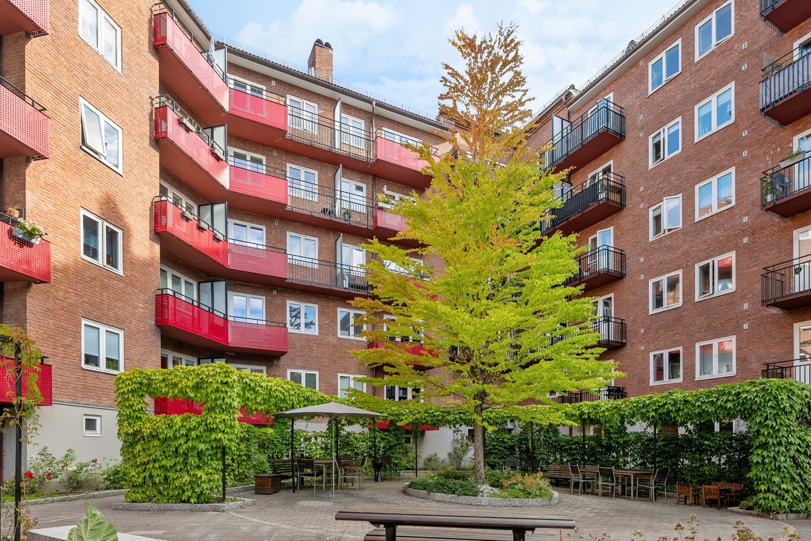 Lun og grønn bakgård. Galleribilde