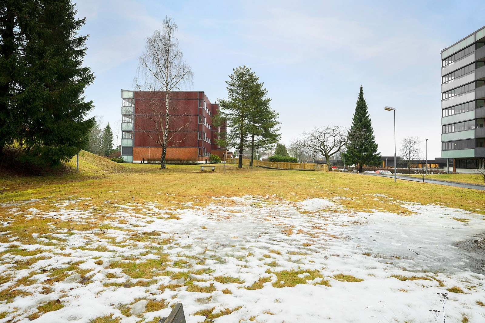 Nærområdet. Galleribilde