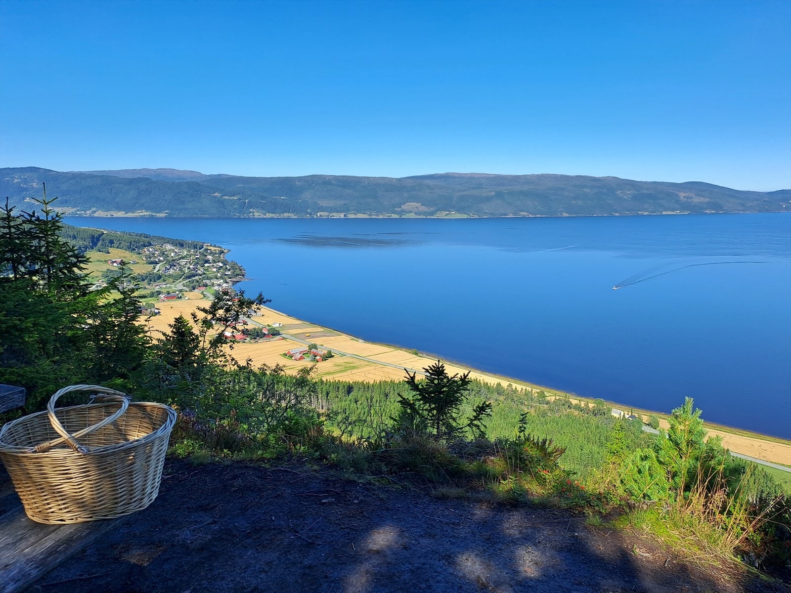Viggja kan invitere til flotte turer som bl.a. Stykkåskammen som ligger på et flott høydedrag med fantastisk utsikt Galleribilde