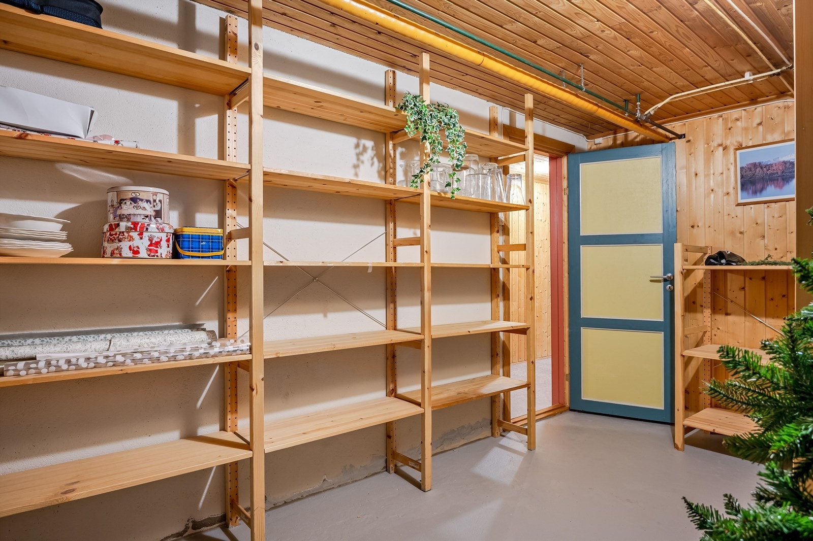 Bod i kjeller. Galleribilde