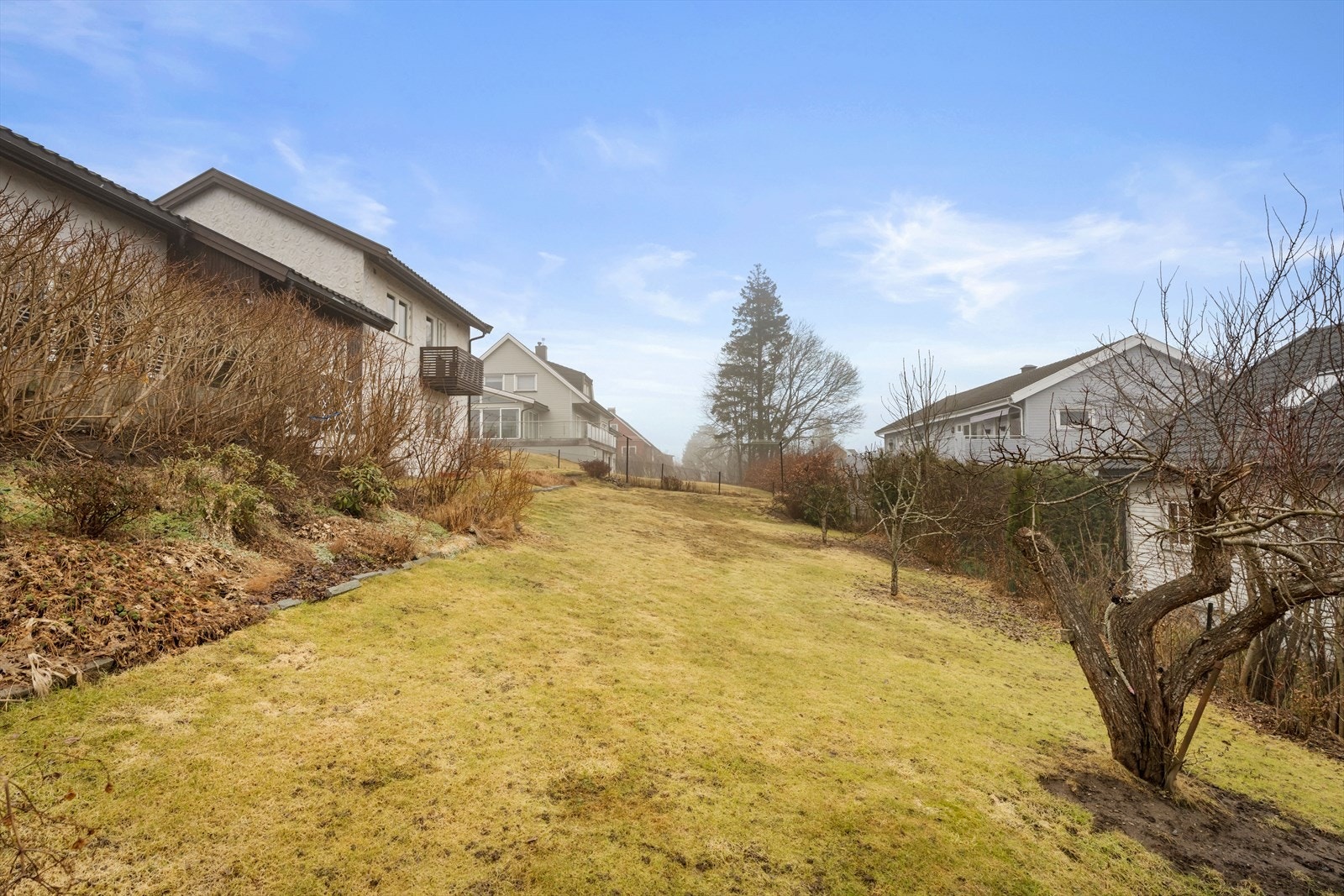 Stor hage med etablert beplantning og god plass for utendørsaktiviteter. Galleribilde