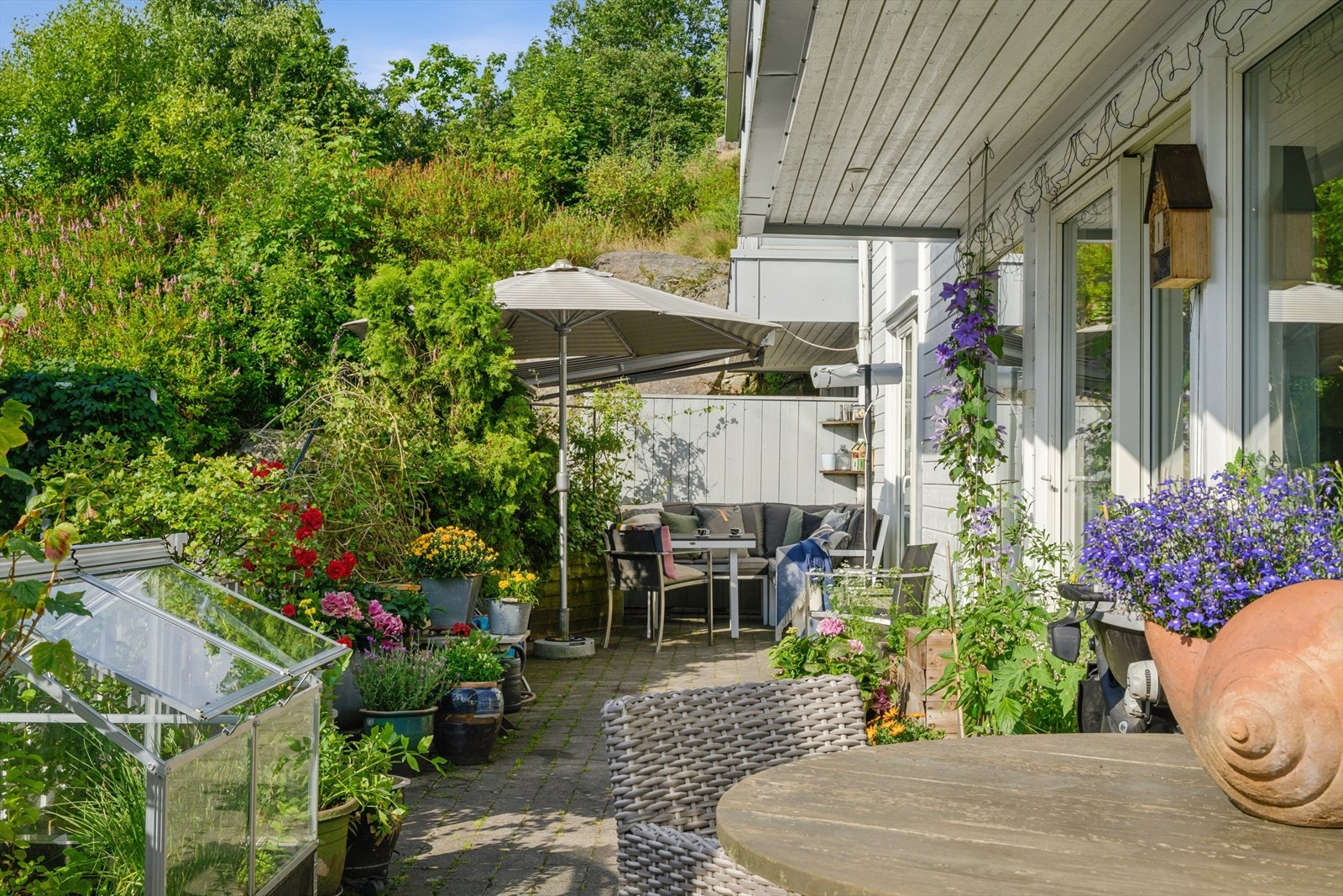 Terrasse Galleribilde