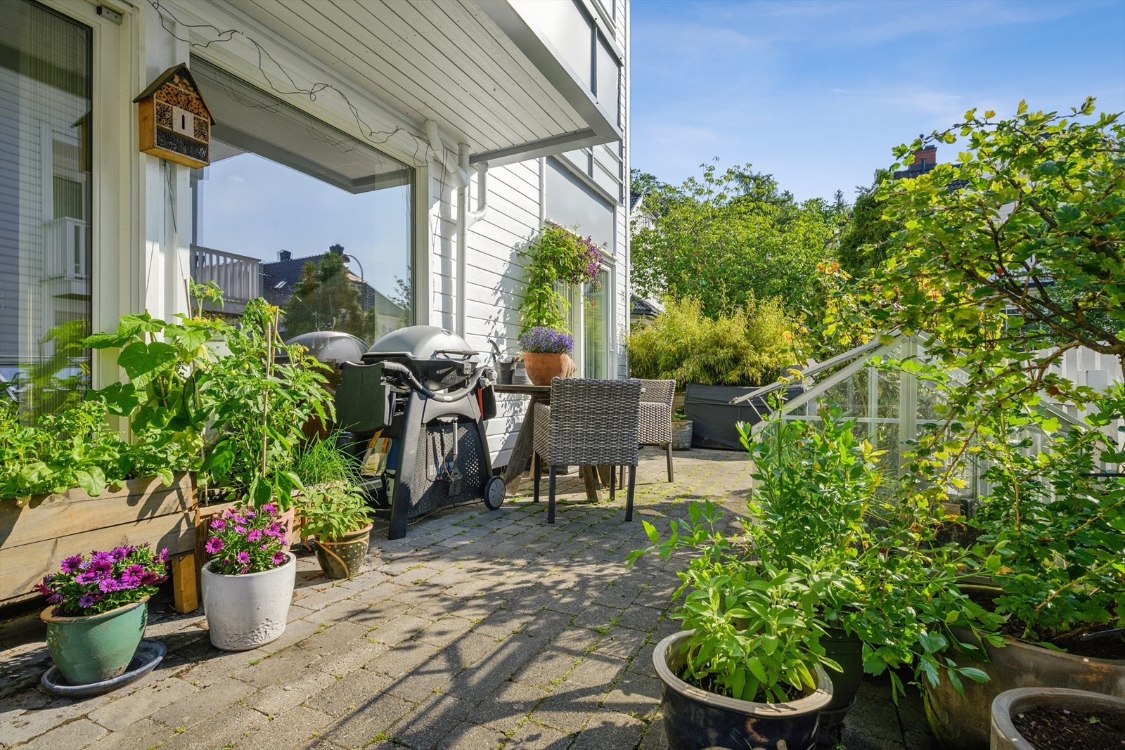 Terrasse Galleribilde