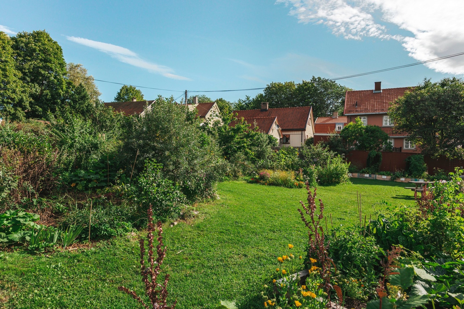 Rett over veien finner vi denne frodige og fine hagen. Og ja, nå gleder vi oss til sommeren! Galleribilde