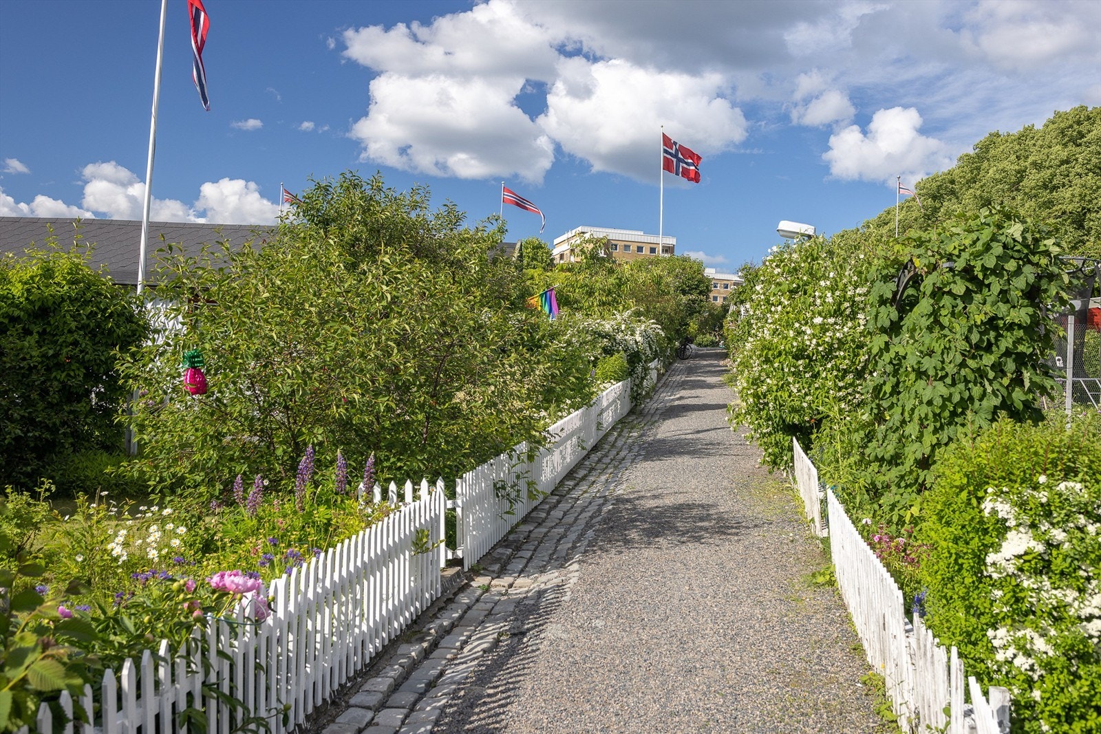 Like ved idylliske Hjemmets kolonihager på Bjølsen - en grønn oase midt i byen med små hytter, hager og historisk preg. Galleribilde