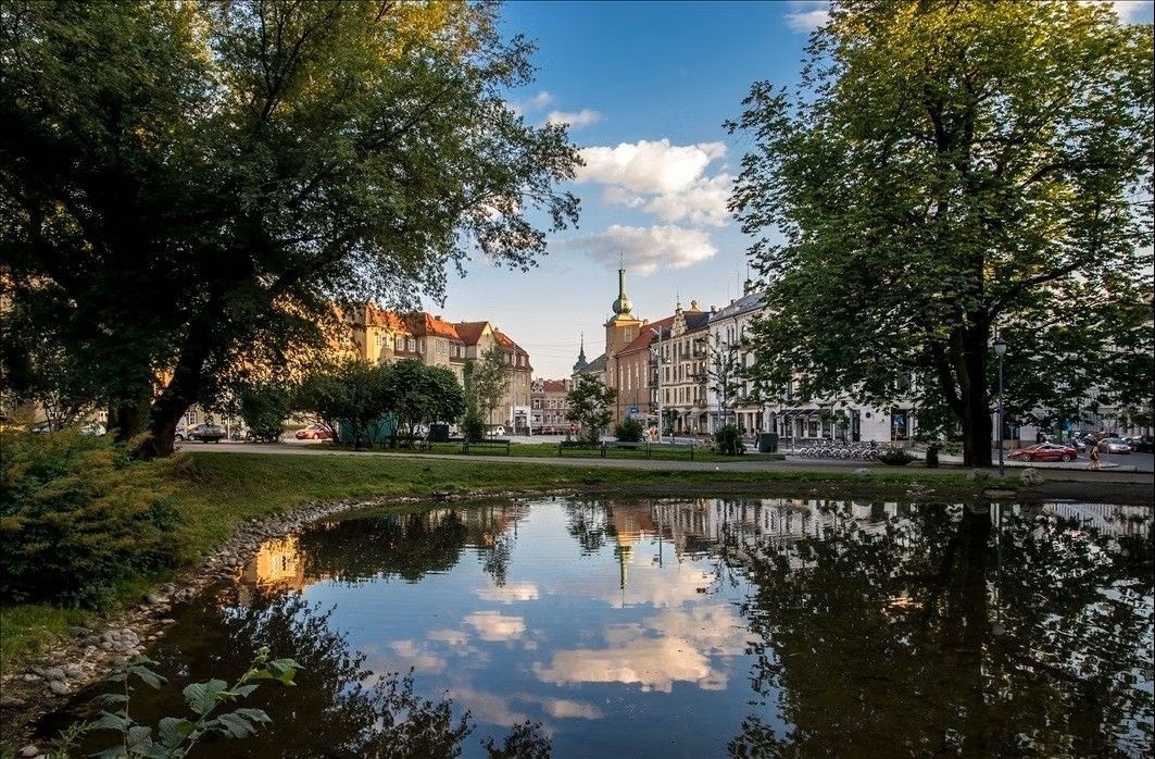 Parken på St.Hanshaugen i kort gangavstand fra leiligheten. Galleribilde