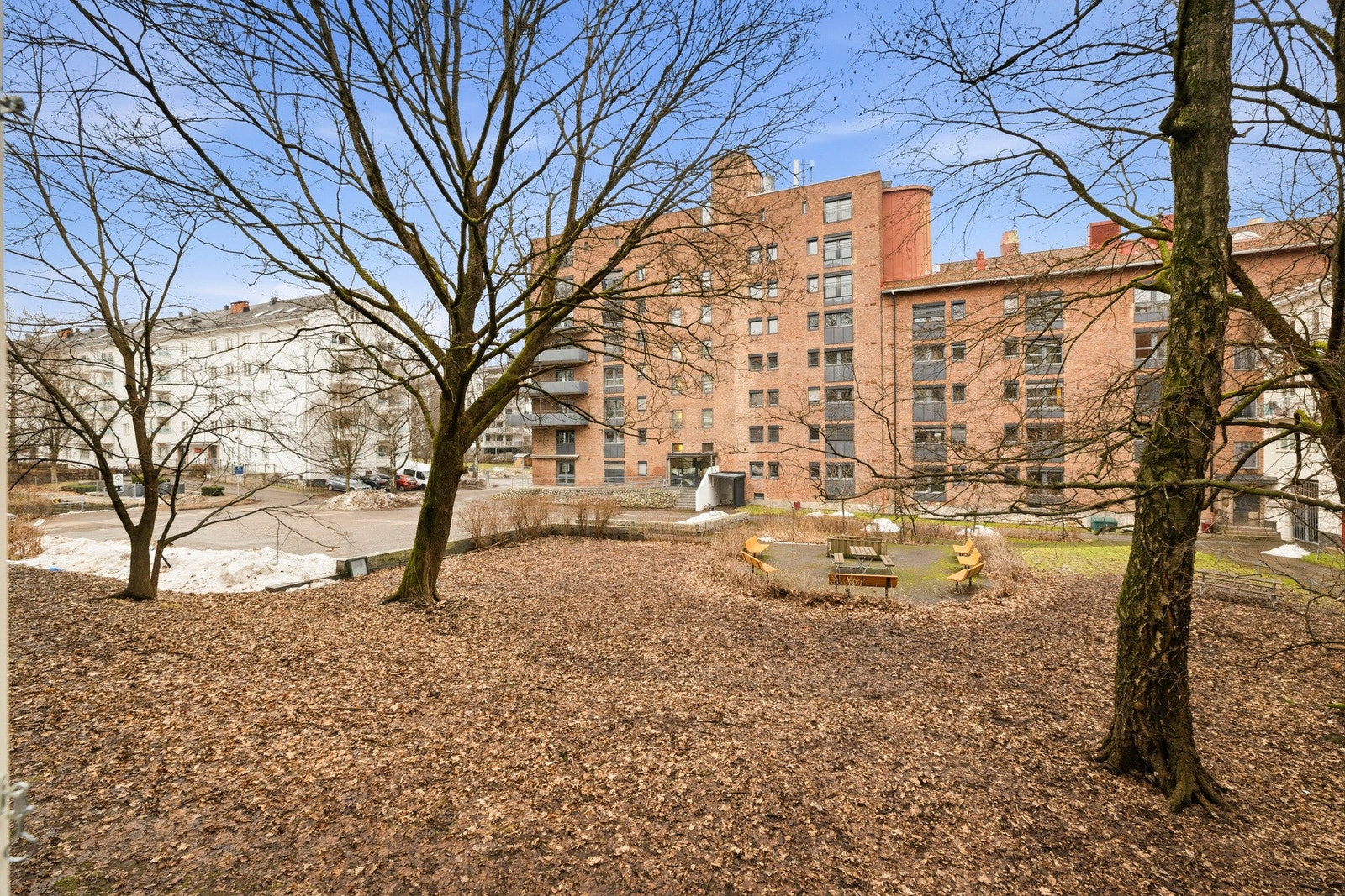 Store grøntområder. Galleribilde