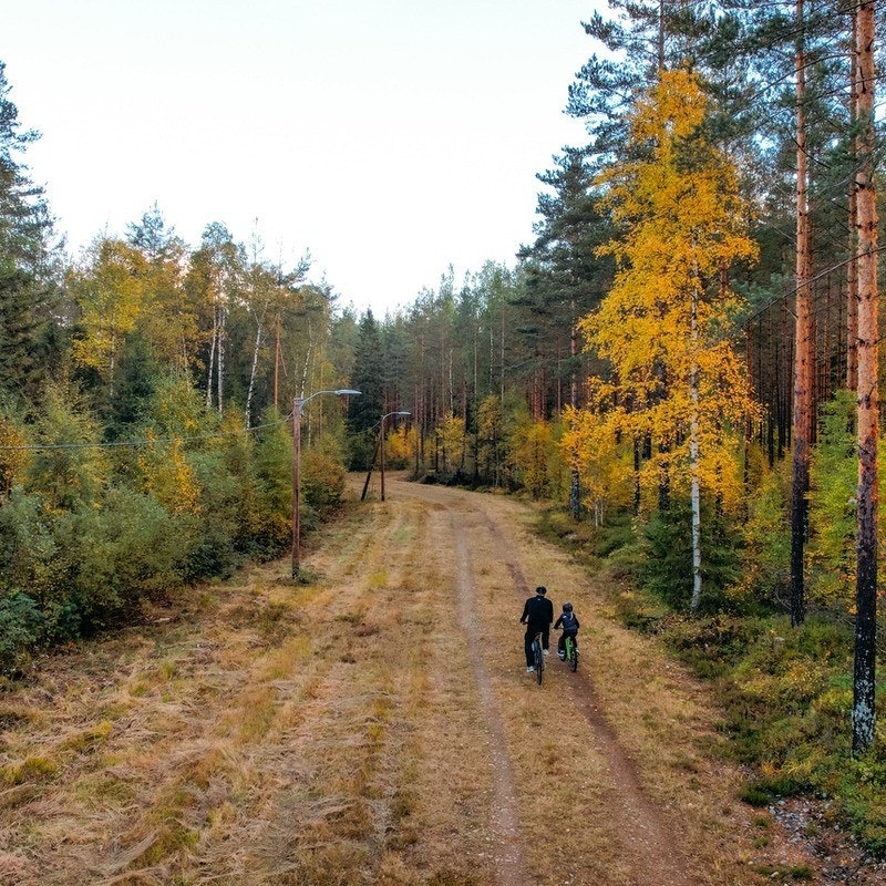 Turområder rett ved feltet Galleribilde