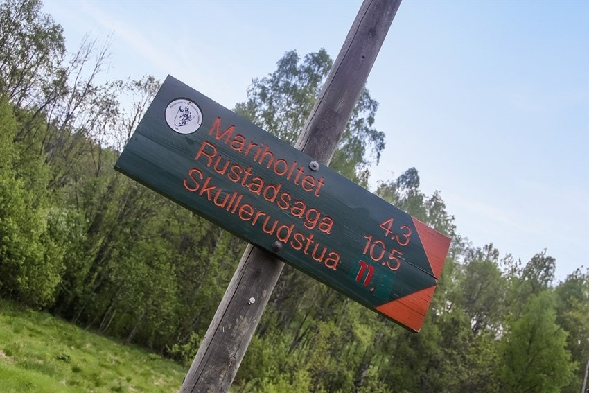 Her er noe for alle nivåer Galleribilde