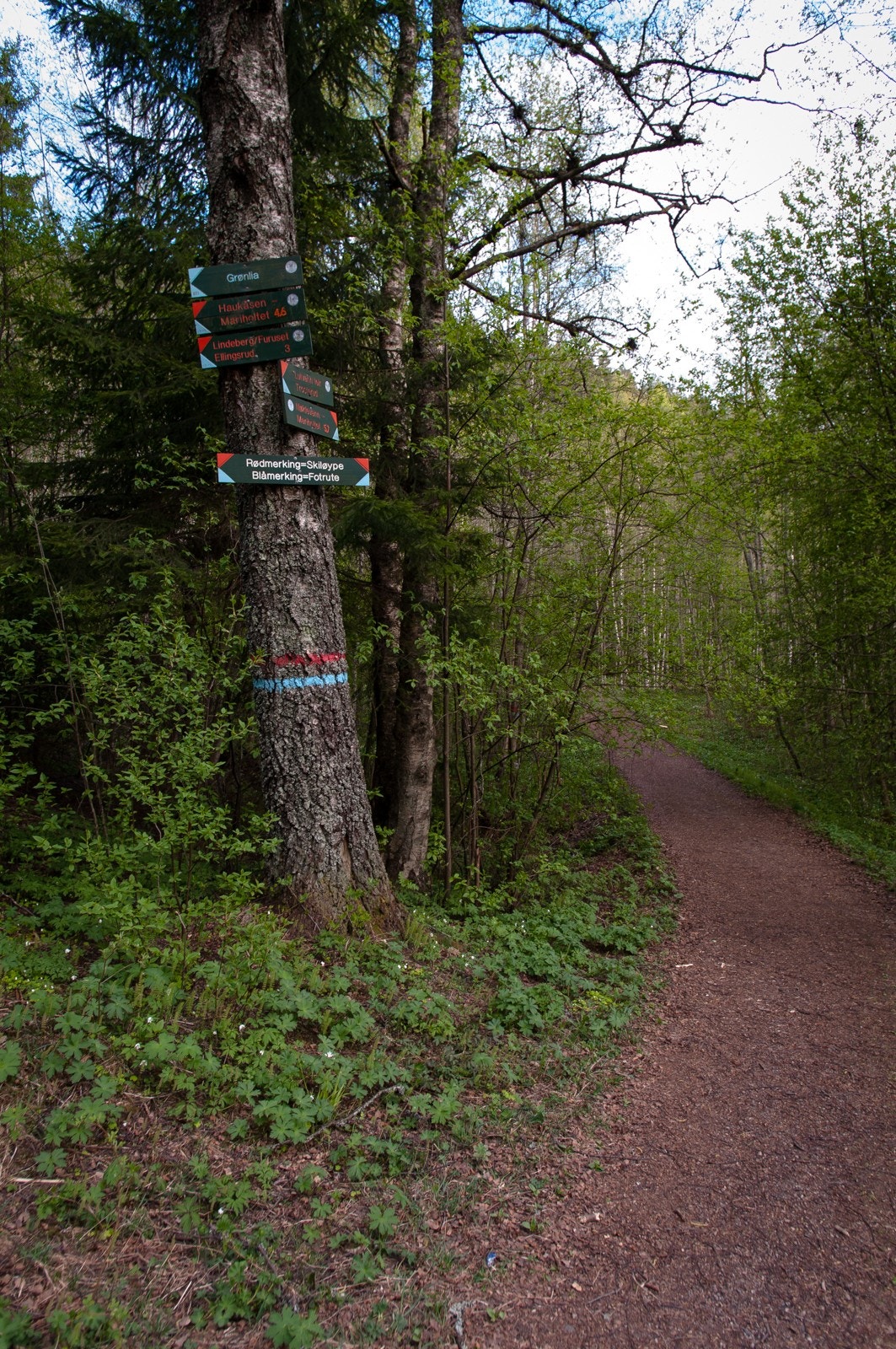 Sykling, bading, jogging eller bare rusling og gjerne med barnevogn Galleribilde