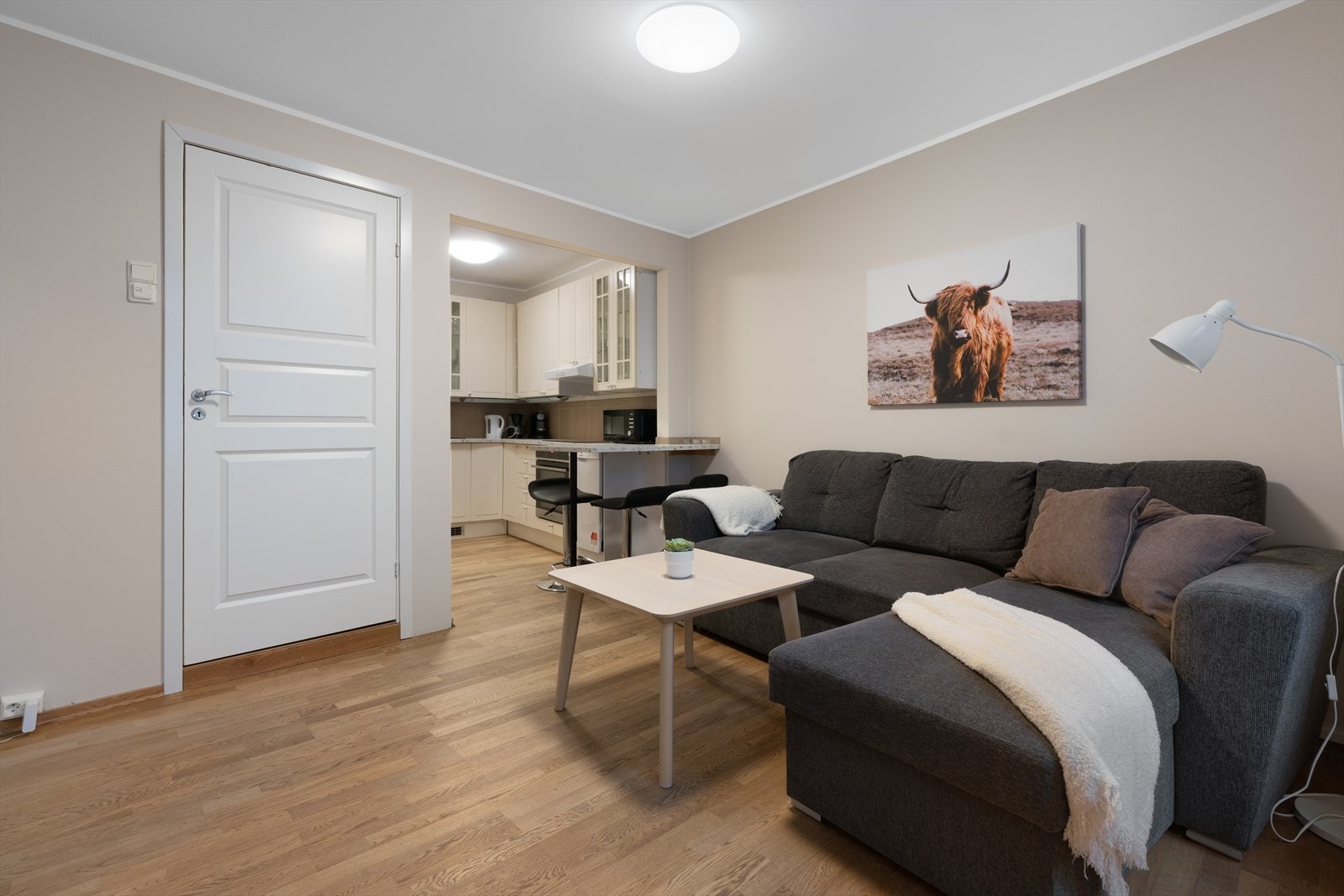 - Leiligheten inneholder gang, stue/kjøkken, soverom og bad - Galleribilde