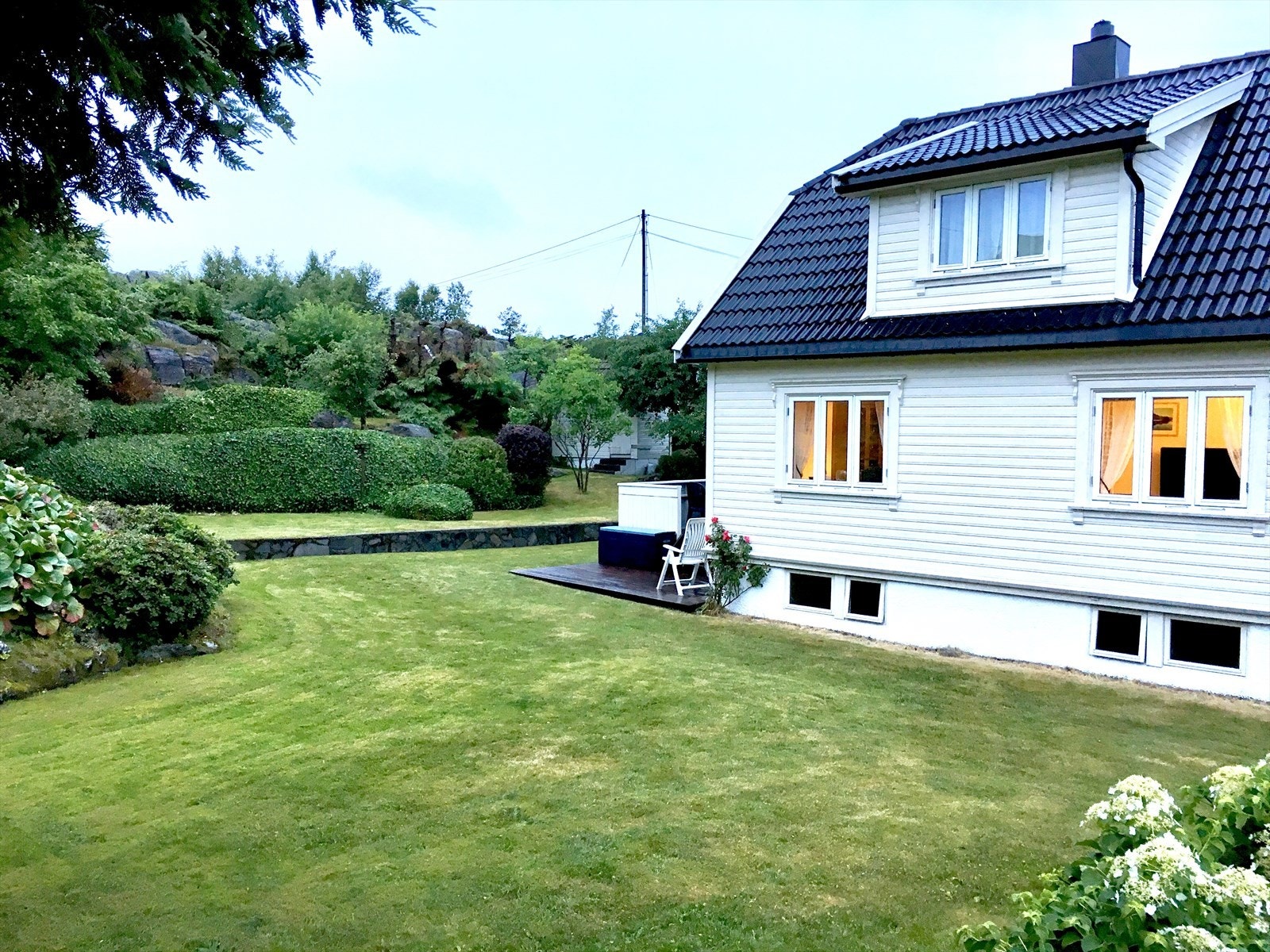 Hilsen fra selger en sommerdag ifjor når hagen var grønn og fin. Galleribilde