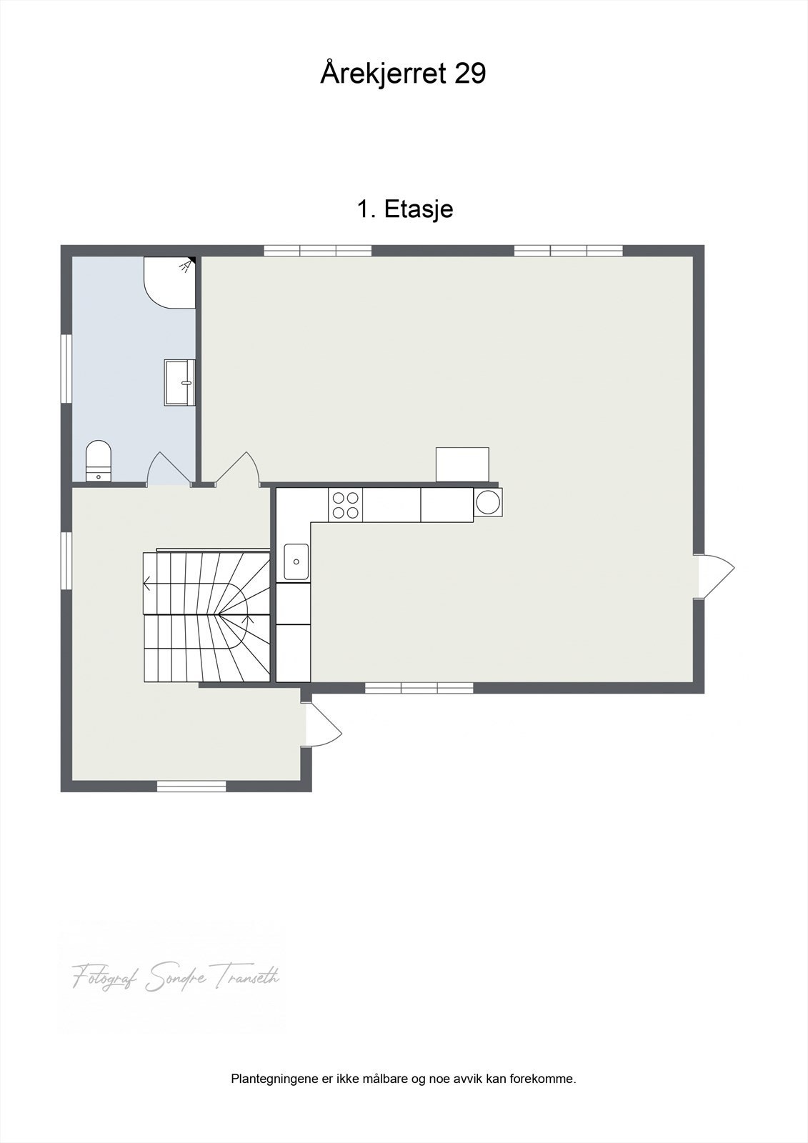 Planløsning 1.etg.: entre, bad, åpen stue/kjøkkenløsning med tilkomst til terrasse og hageområde. Galleribilde