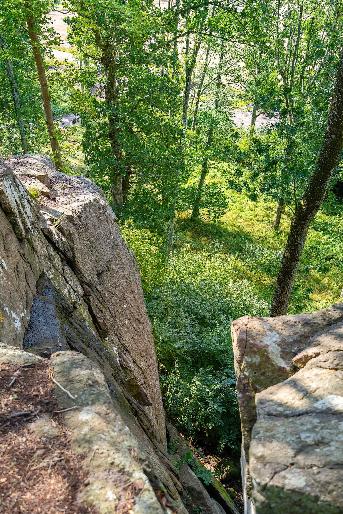 Klattrevegg i nærområde Galleribilde