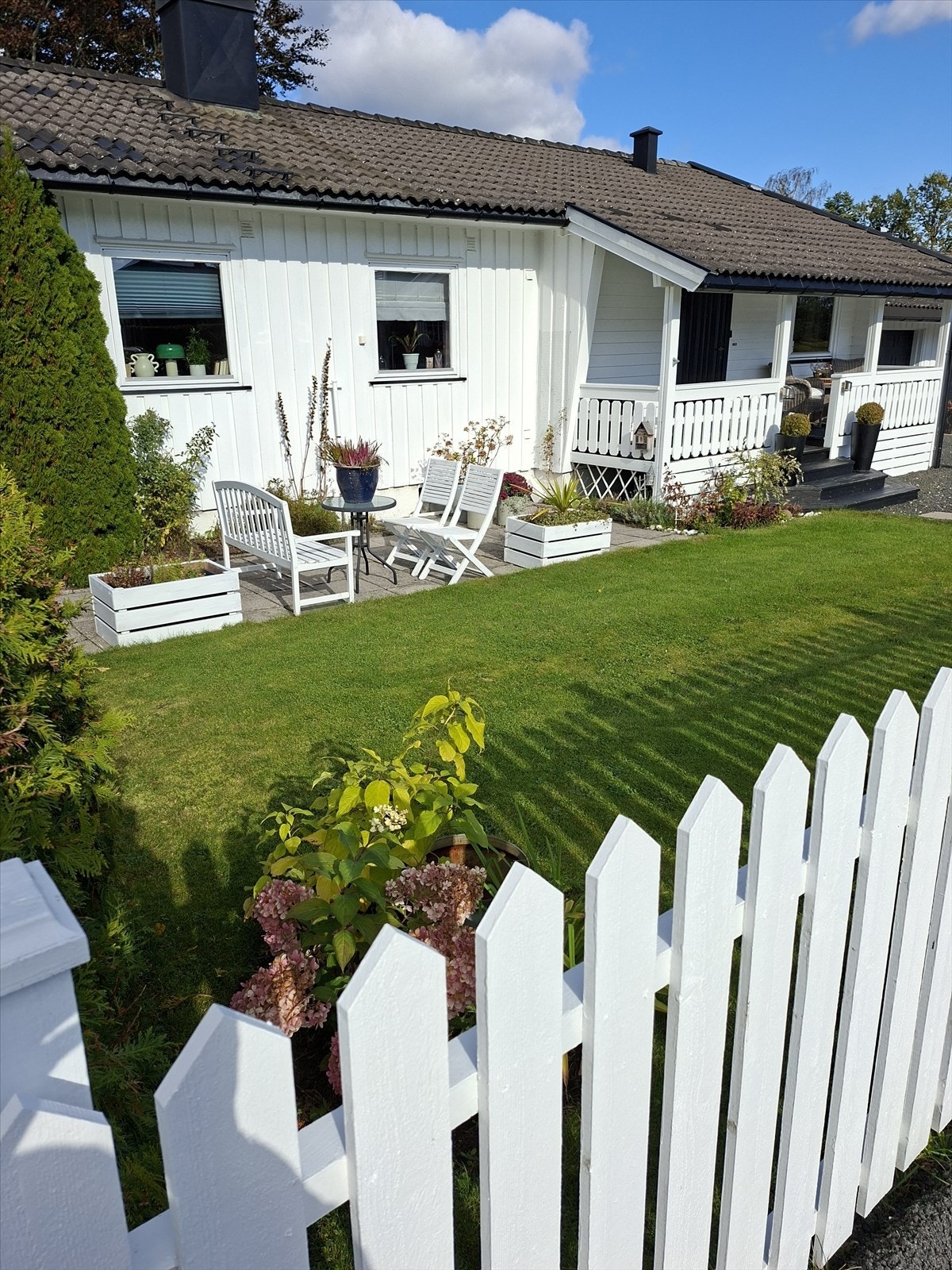 Selger sine bilder fra i sommmer Galleribilde