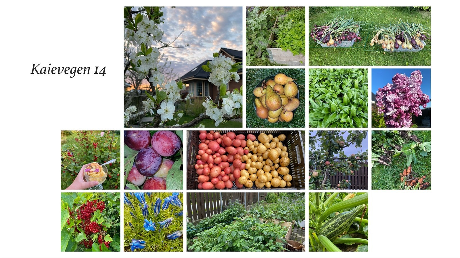 Selgers bilder Kaievegen 14 Galleribilde