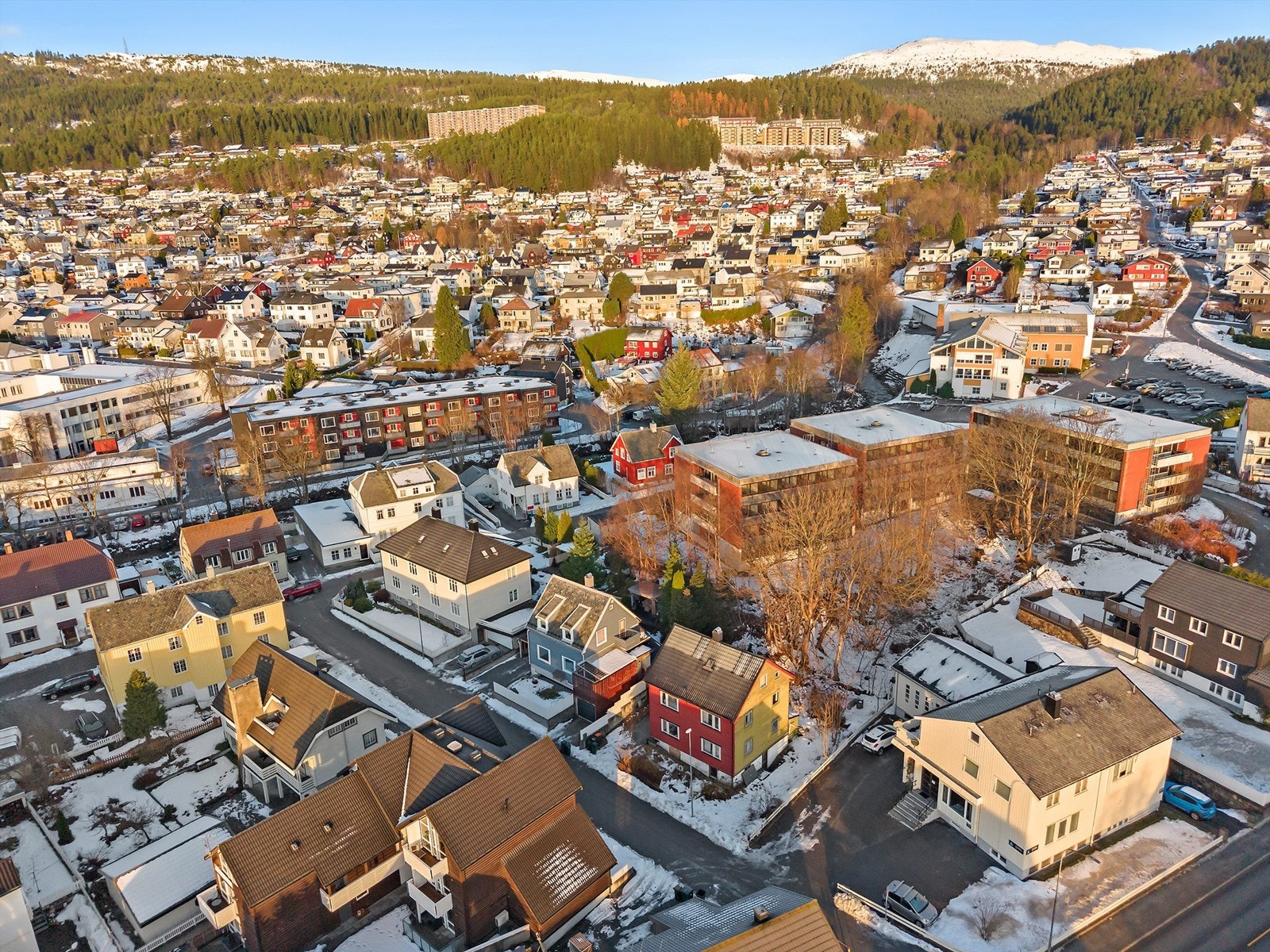 Områdebilde. Galleribilde