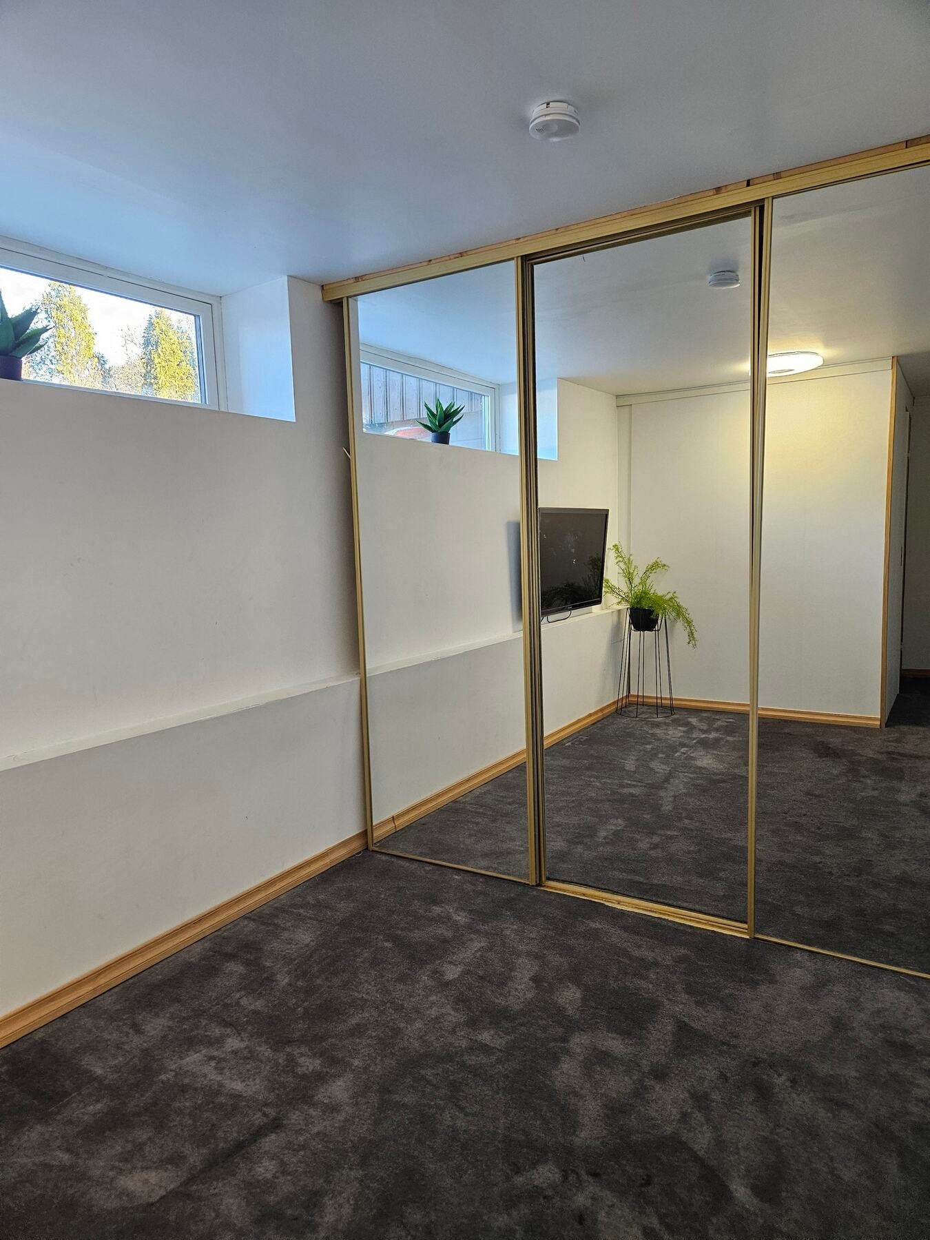 Kjelleretasjen er bruksendret og godkjent for varig opphold. Galleribilde