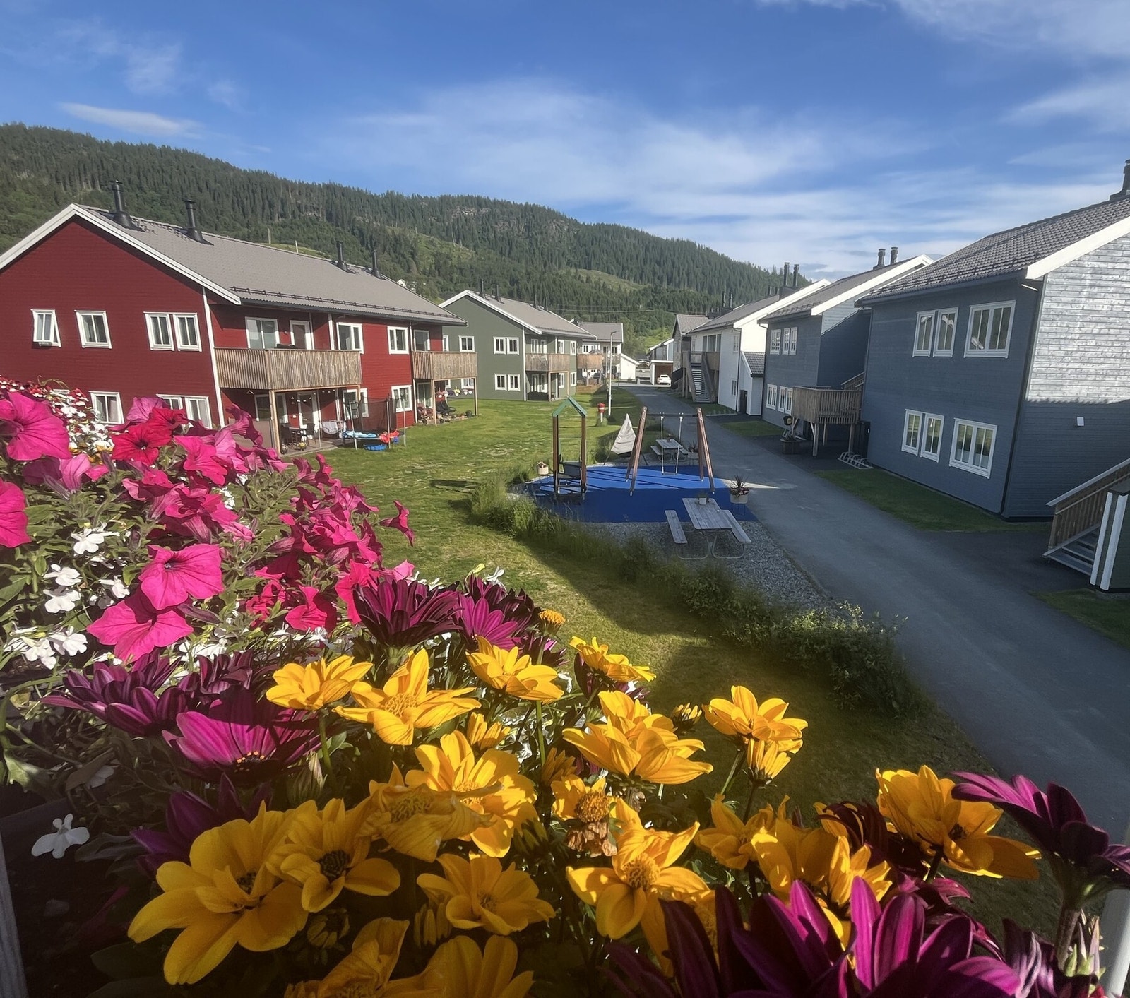 Tunet sett fra blomsterkasser på veranda. Galleribilde