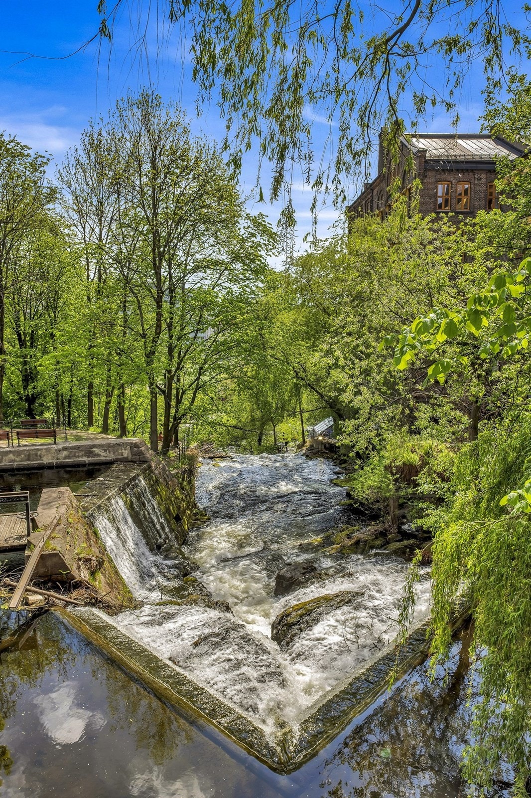 Grønne omgivelser er en naturlig del av livet her. Akerselva ligger 5-10 minutters gange unna og byr på flotte tur- og løpemuligheter året rundt. Galleribilde