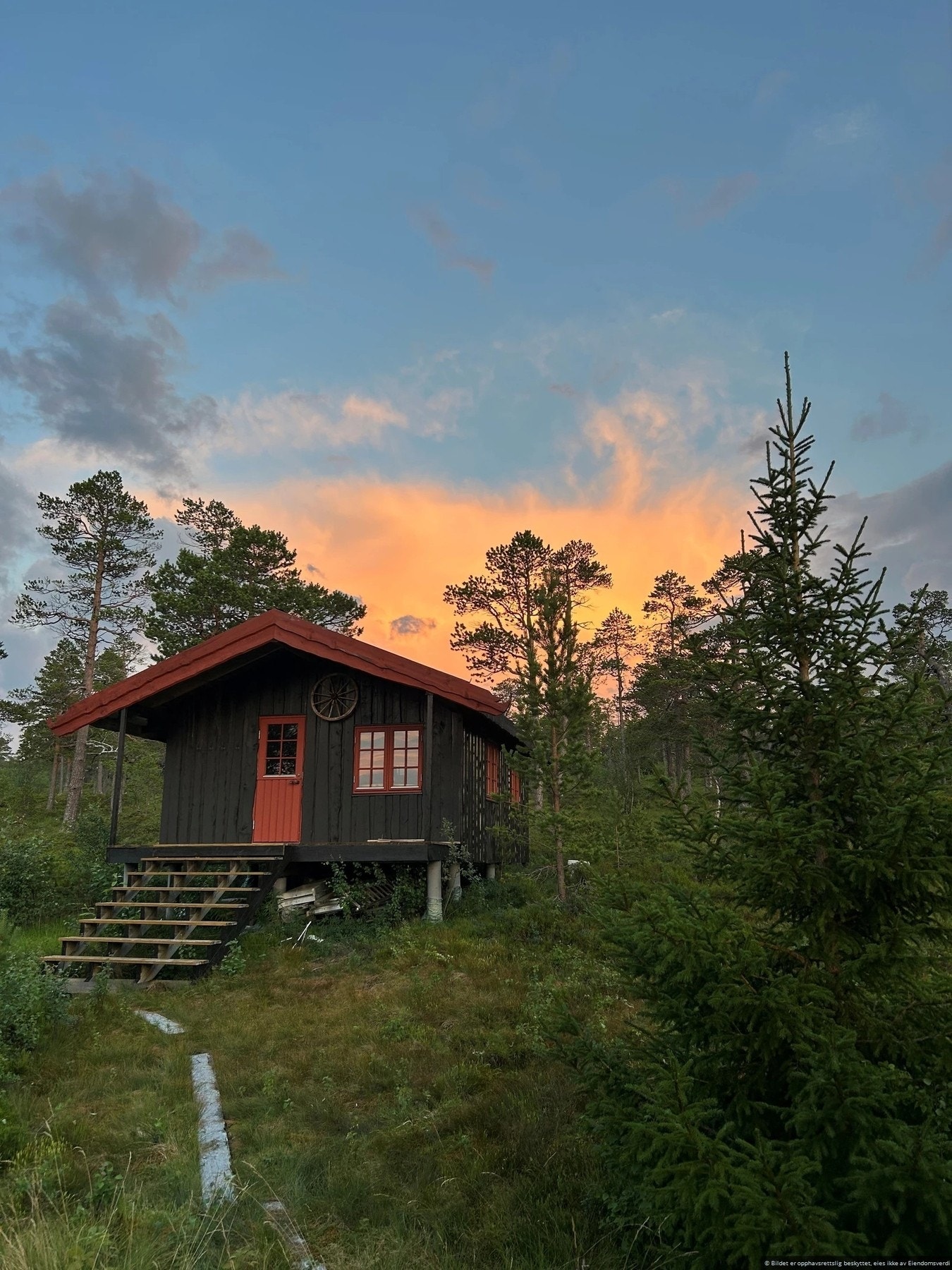 Selgers private sommerbilde. Galleribilde