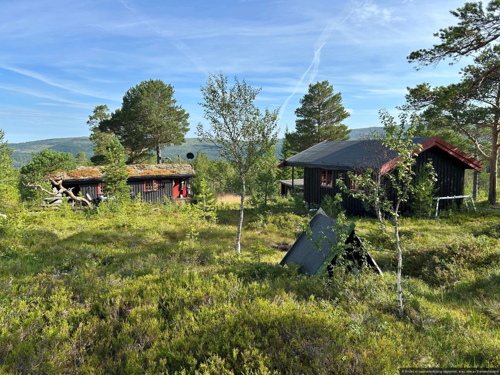 Selgers private sommerbilde. Galleribilde