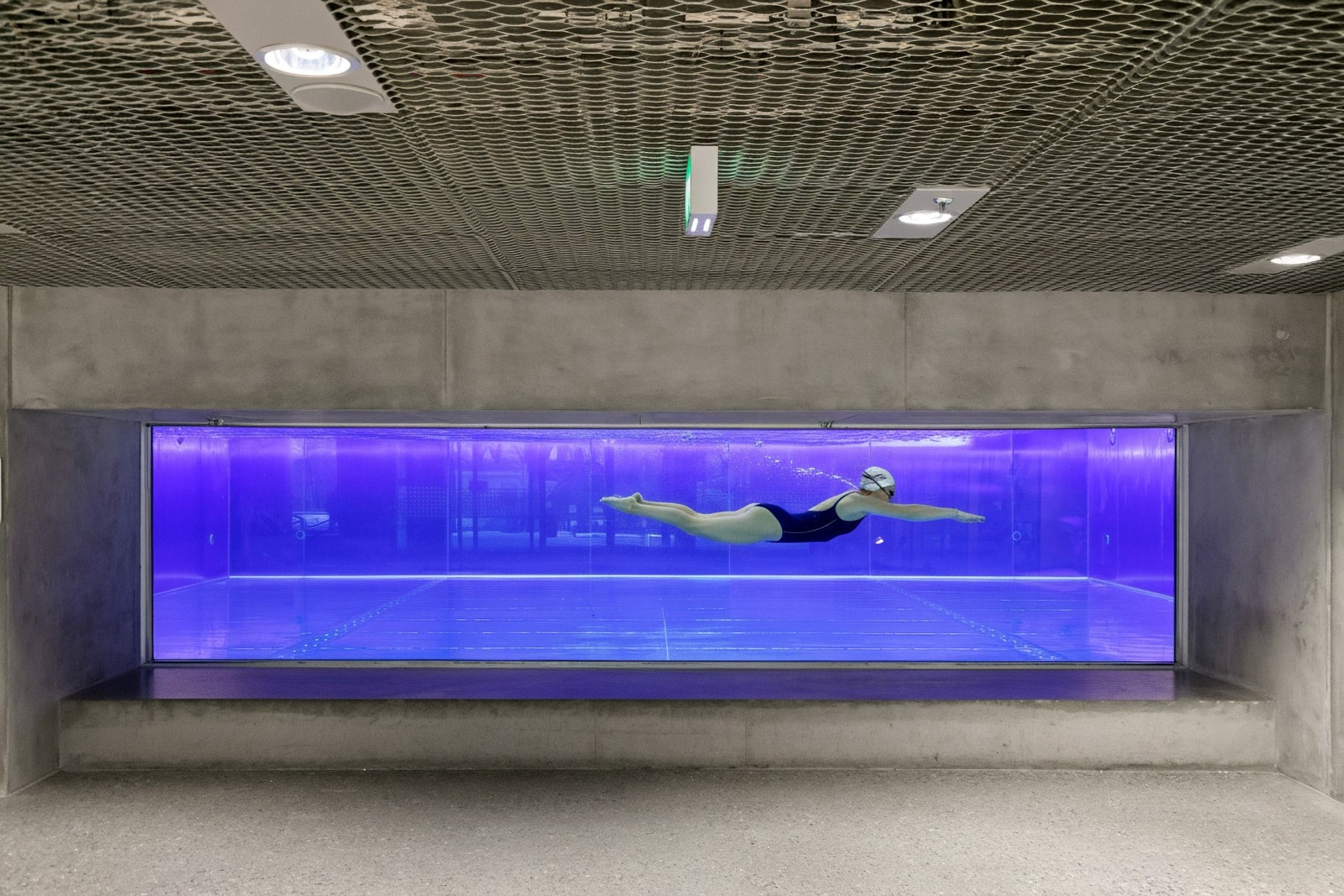 Tøyenbadet er et populært svømmeanlegg som er til glede for både store og små. Galleribilde