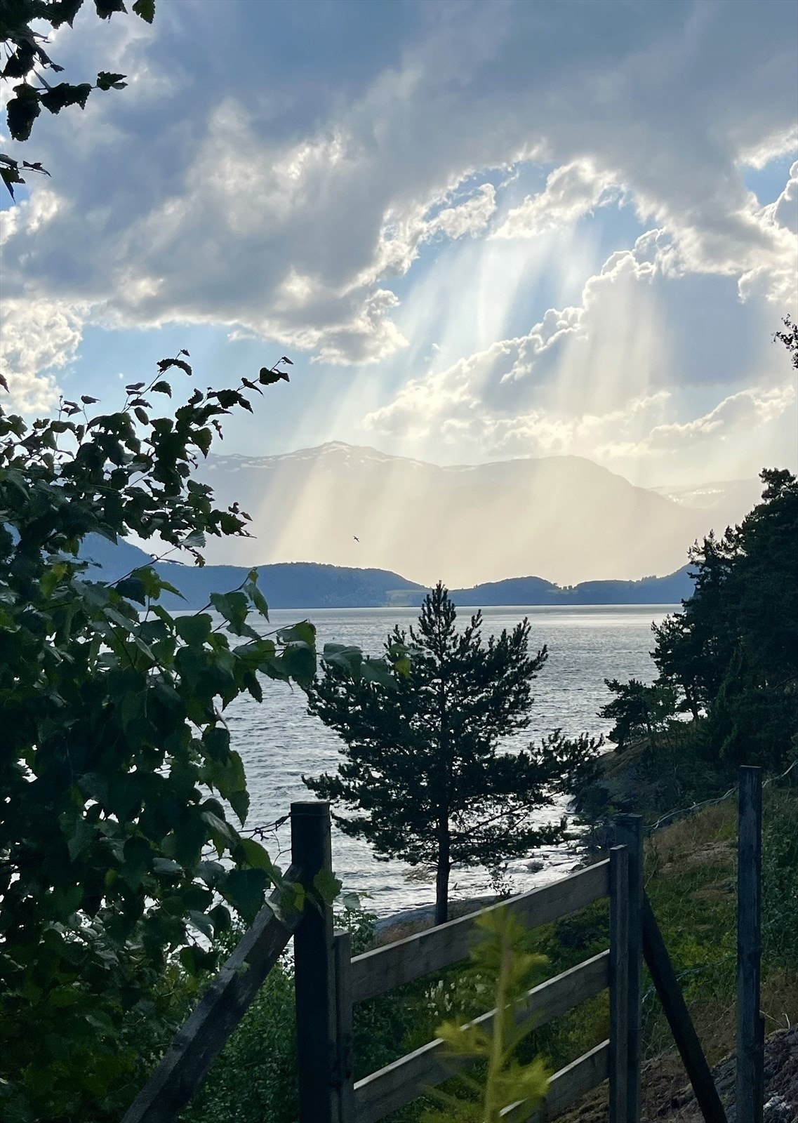 utsikt mot flyplassen Galleribilde