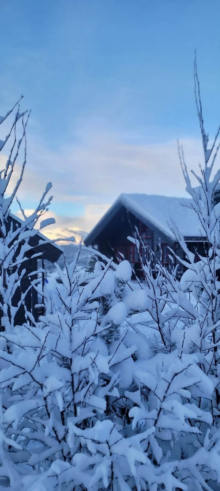 Vinterstemning på Litrane. Galleribilde