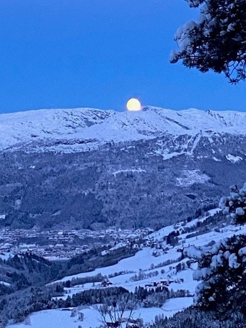 Fra hytta har du unik utsikt. Galleribilde