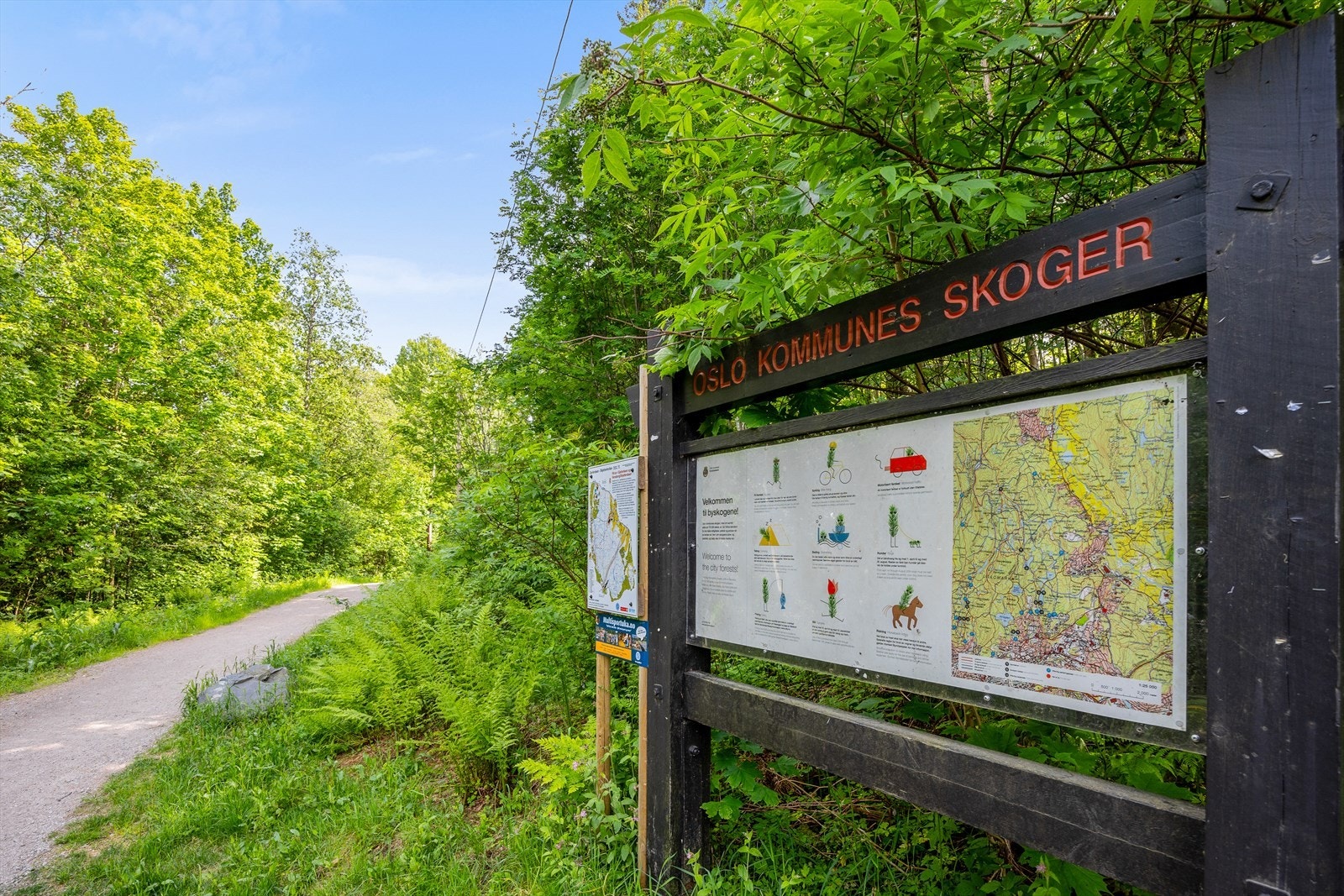 Med nærhet marka ligger alt til rette for løpe-, ski- eller sykkelturer like utenfor døren. Galleribilde