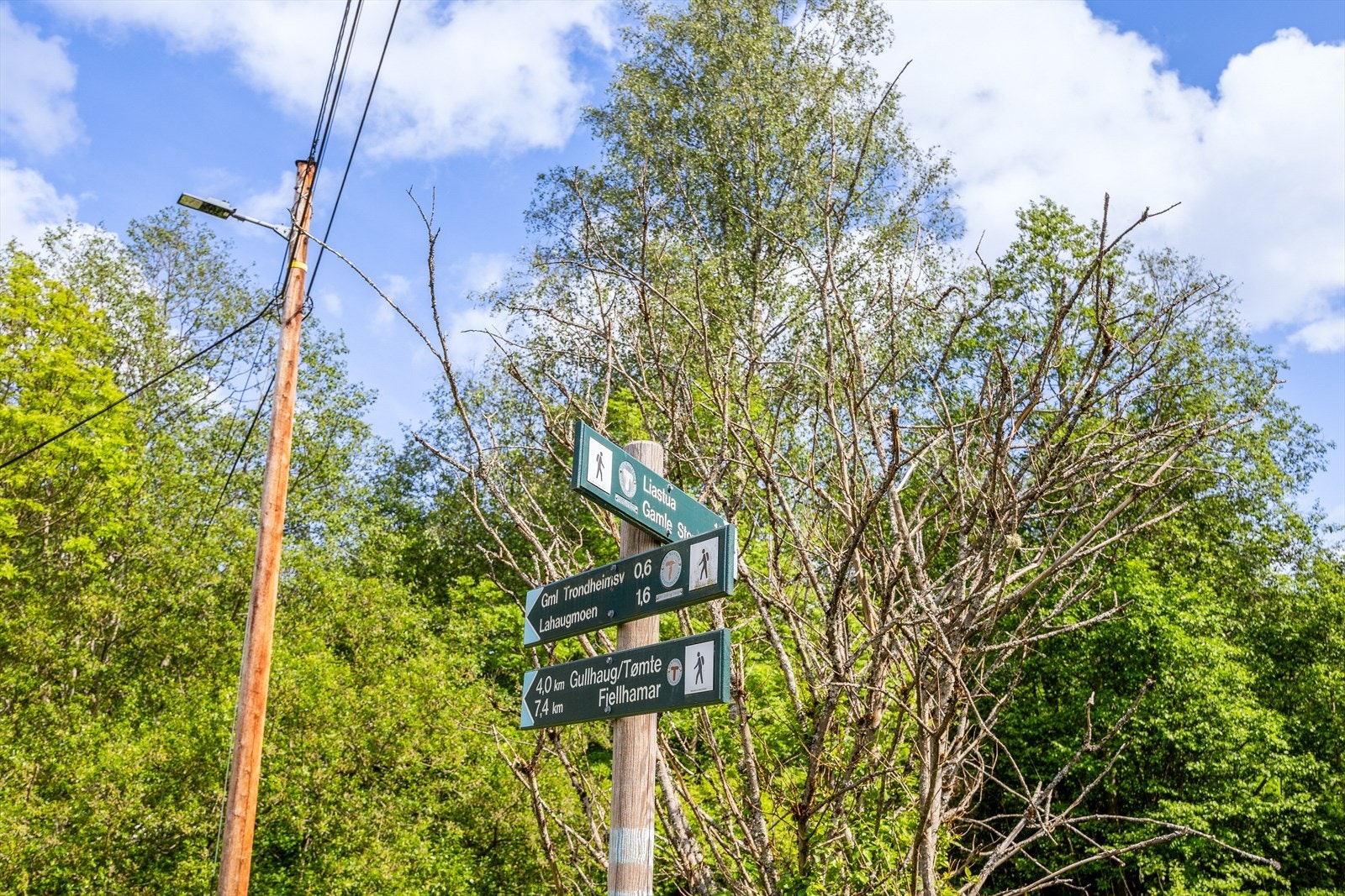 Godt merkede turstier tar deg enkelt inn i de store grøntområdene som omkranser nabolaget. Galleribilde