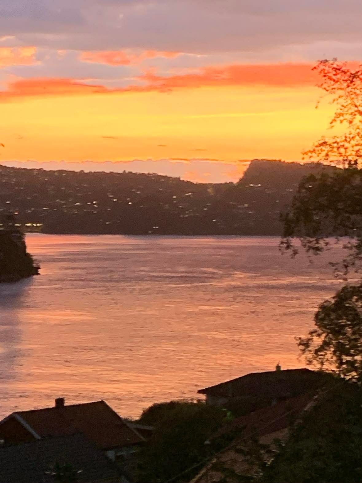 Bilde fra selger Galleribilde