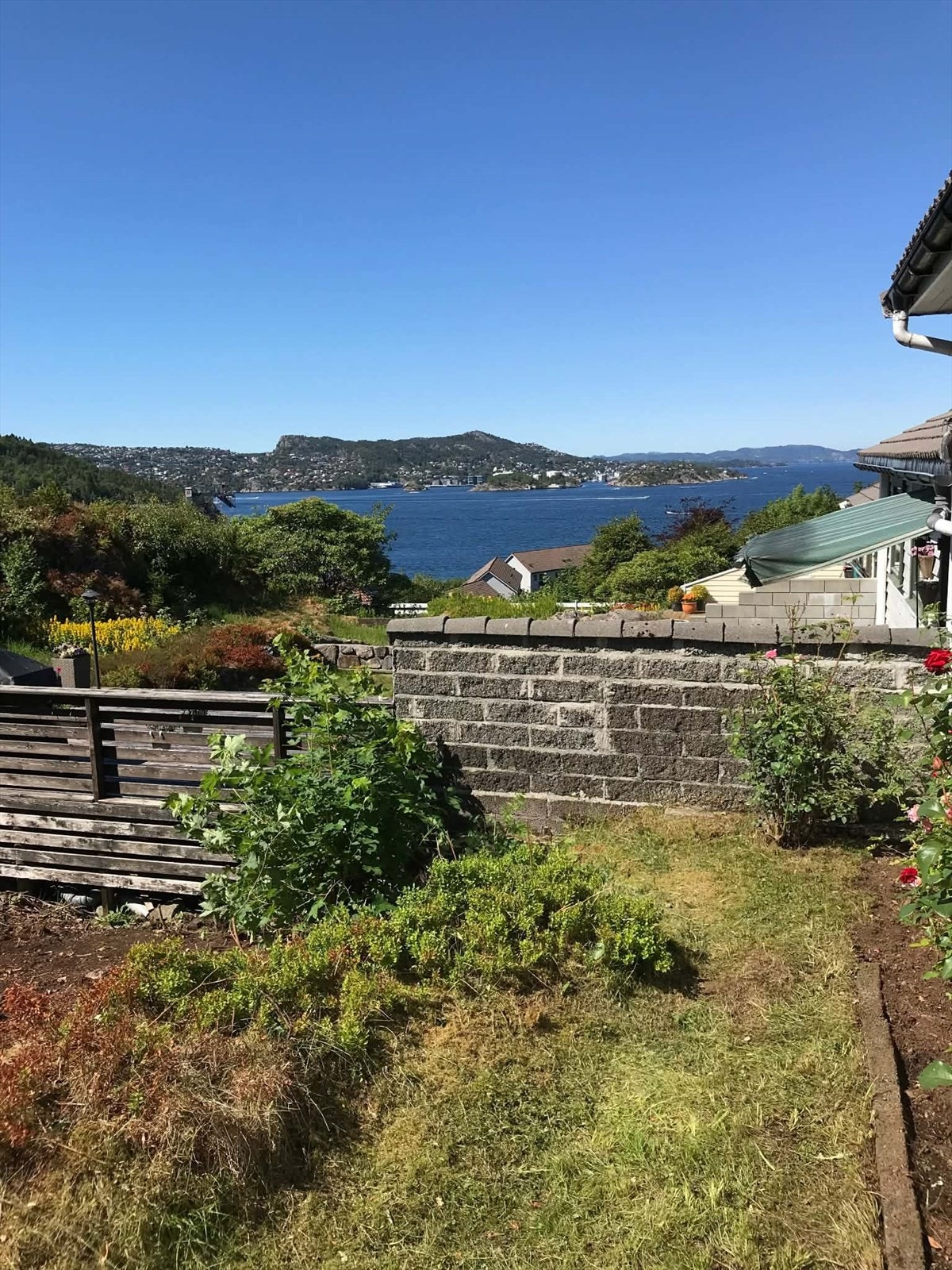 Bilde fra selger Galleribilde