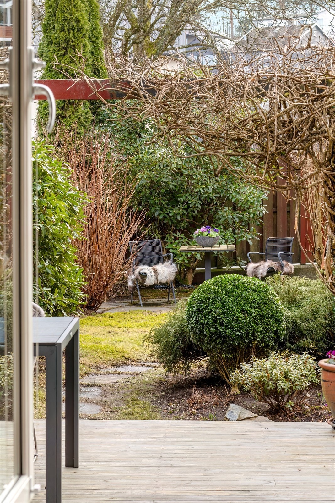 Frodig og fin hage med gode solforhold Galleribilde