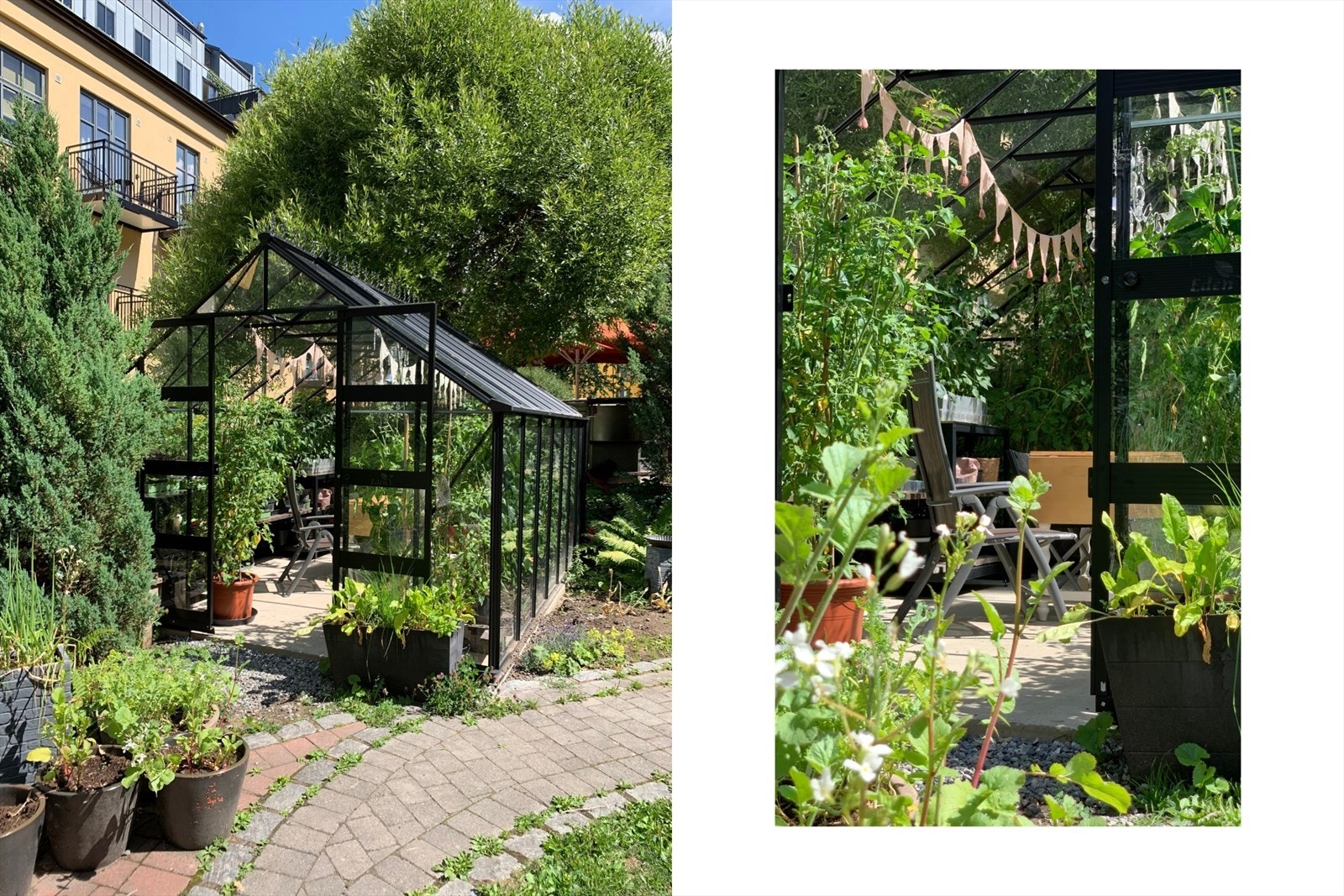 Borettslaget har frodige og flotte fellesområder. Her finner du også eget drivhus. Galleribilde