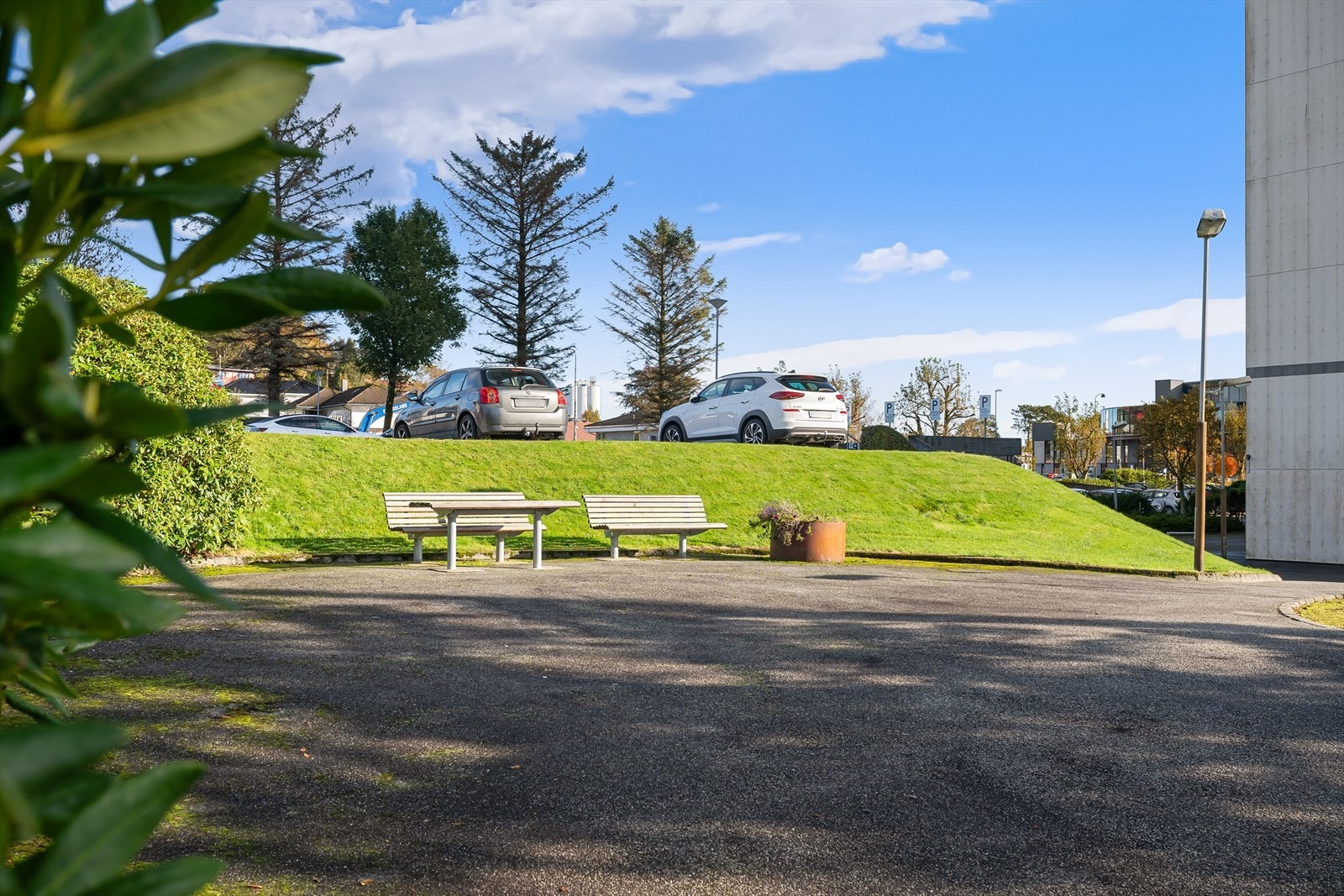 Flotte grønntområder rett utenfor blokken Galleribilde