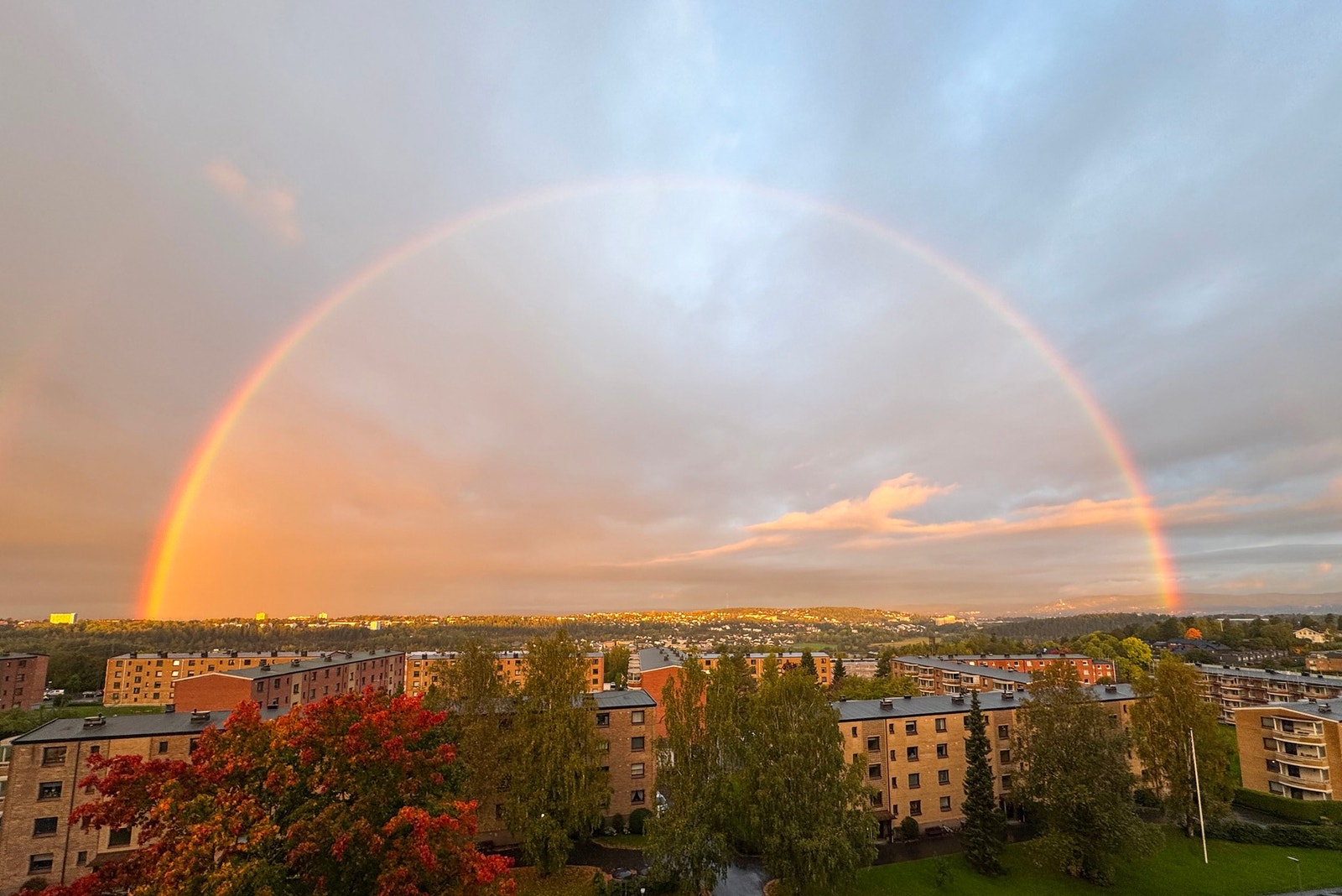 Flotte bilder tatt av selger selv. Galleribilde