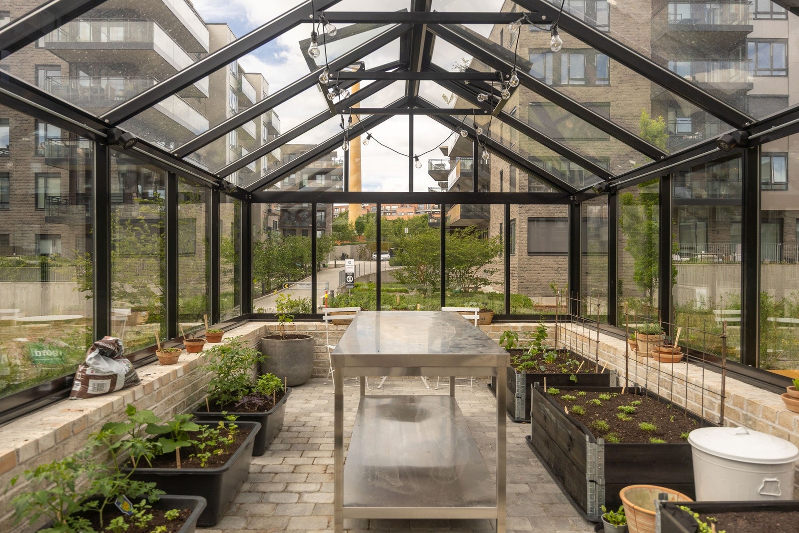 Felles drivhus i indregård. Galleribilde