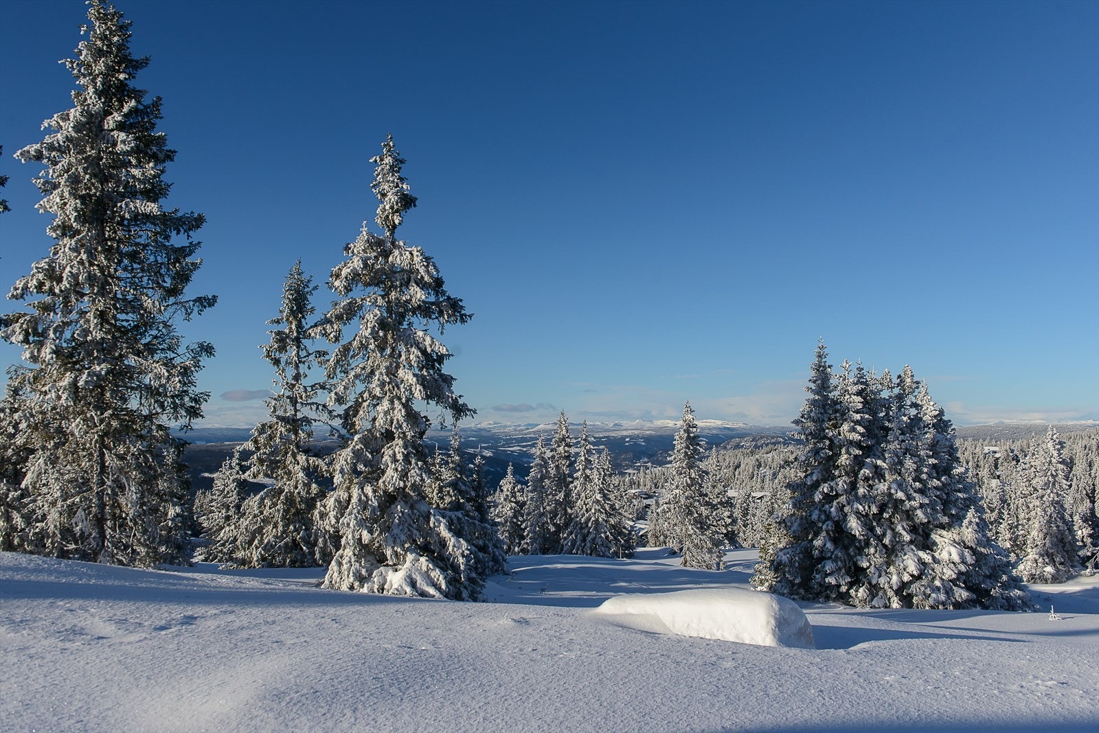 Området har fantastisk utsikt mot både Hafjelltoppen, nordover Gudbrandsdalen og mot Jotunheimen. Galleribilde