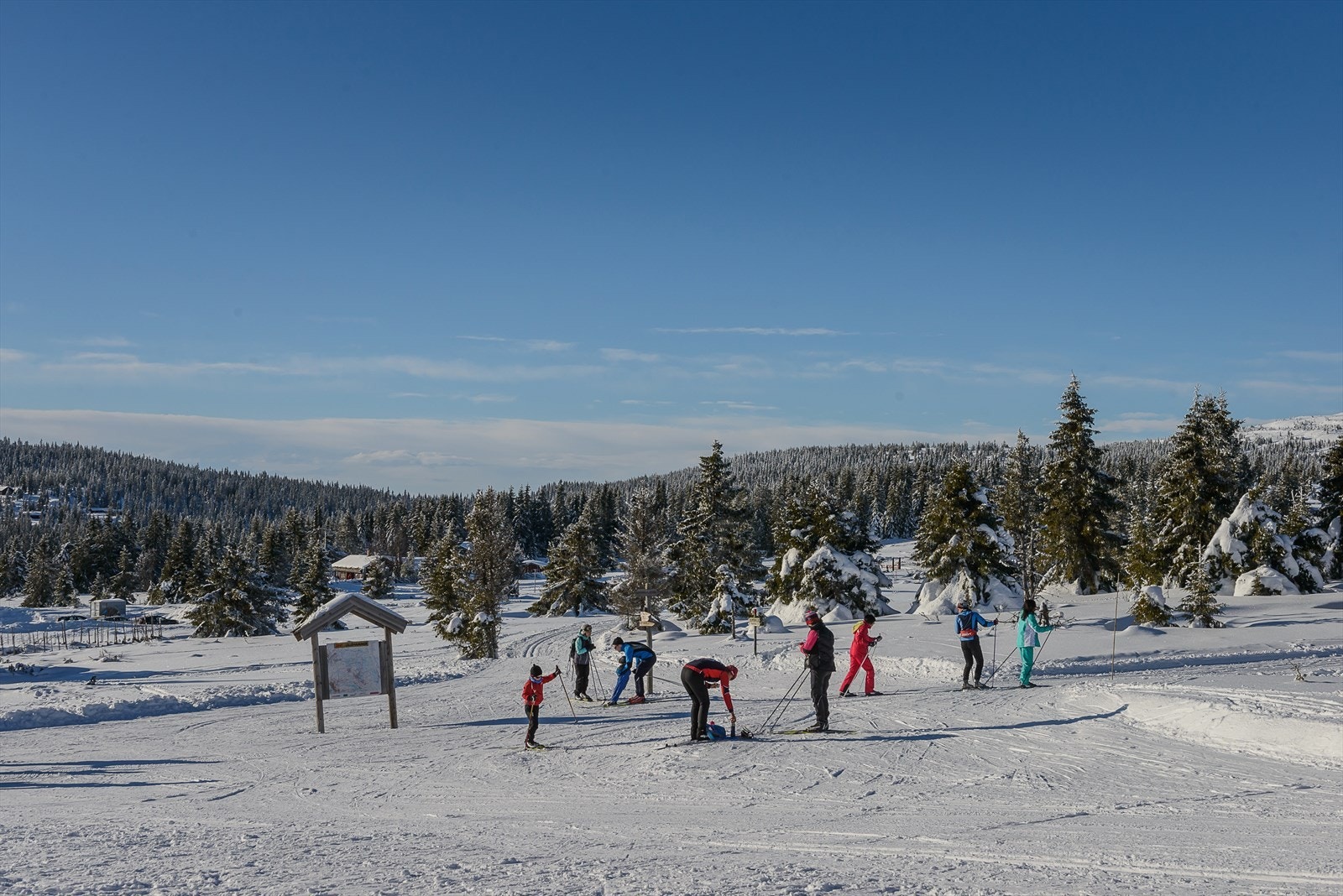 Både hytteeiere og lokale benytter seg flittig av det flotte skiterrenget vinterstid. Nydelig natur i lett kupert terreng. Galleribilde