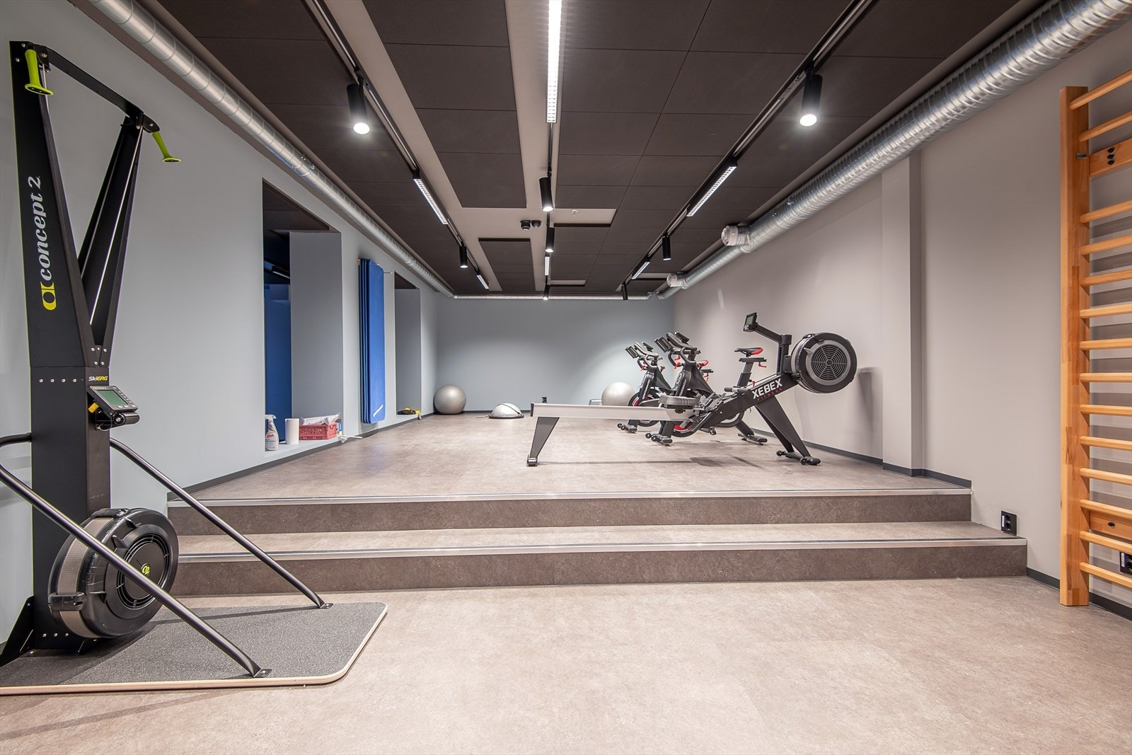 Eget treningssenter til disposisjon for eierne. Ypperlig for en dag med dårlig vær. Galleribilde