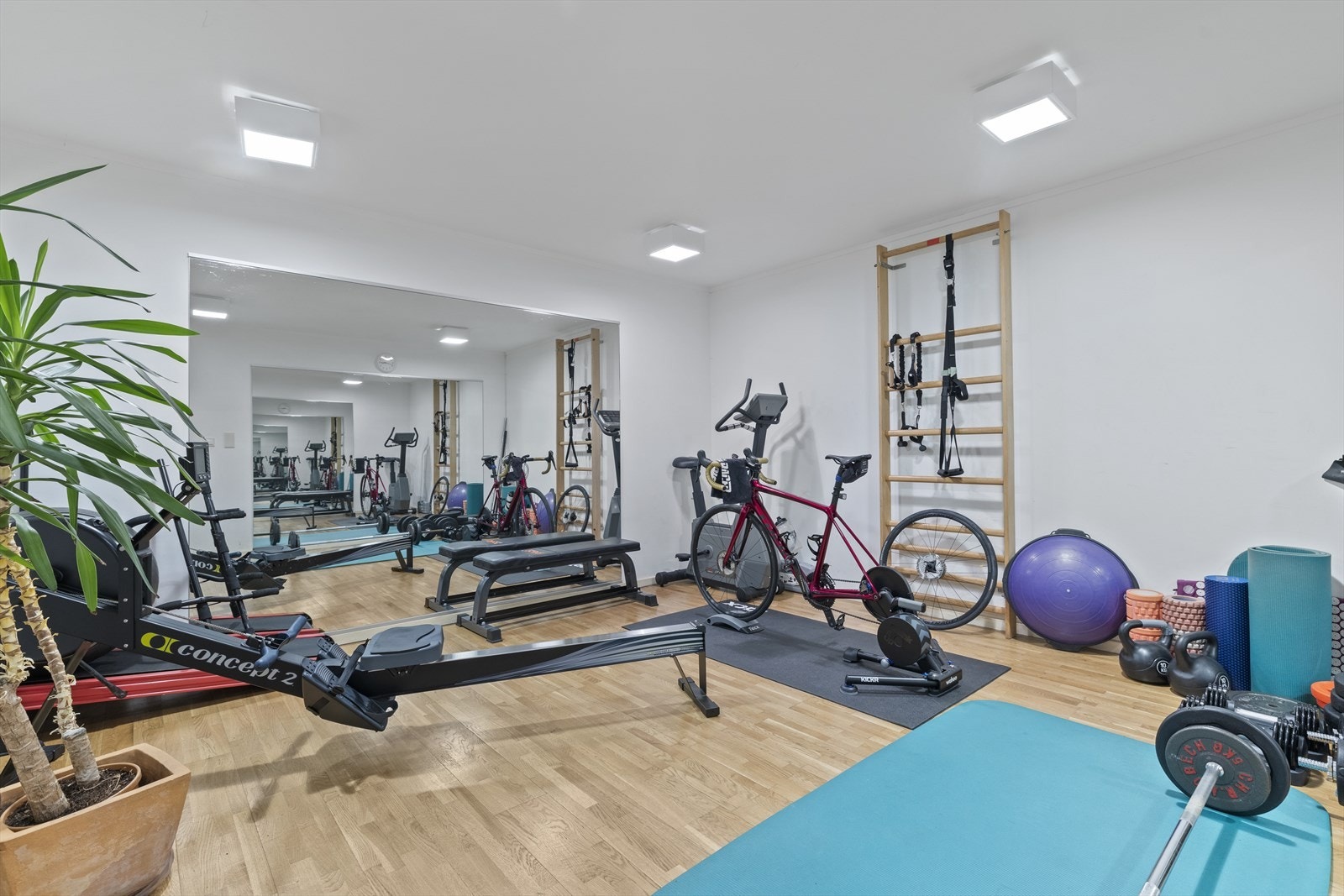 Treningsrom Galleribilde