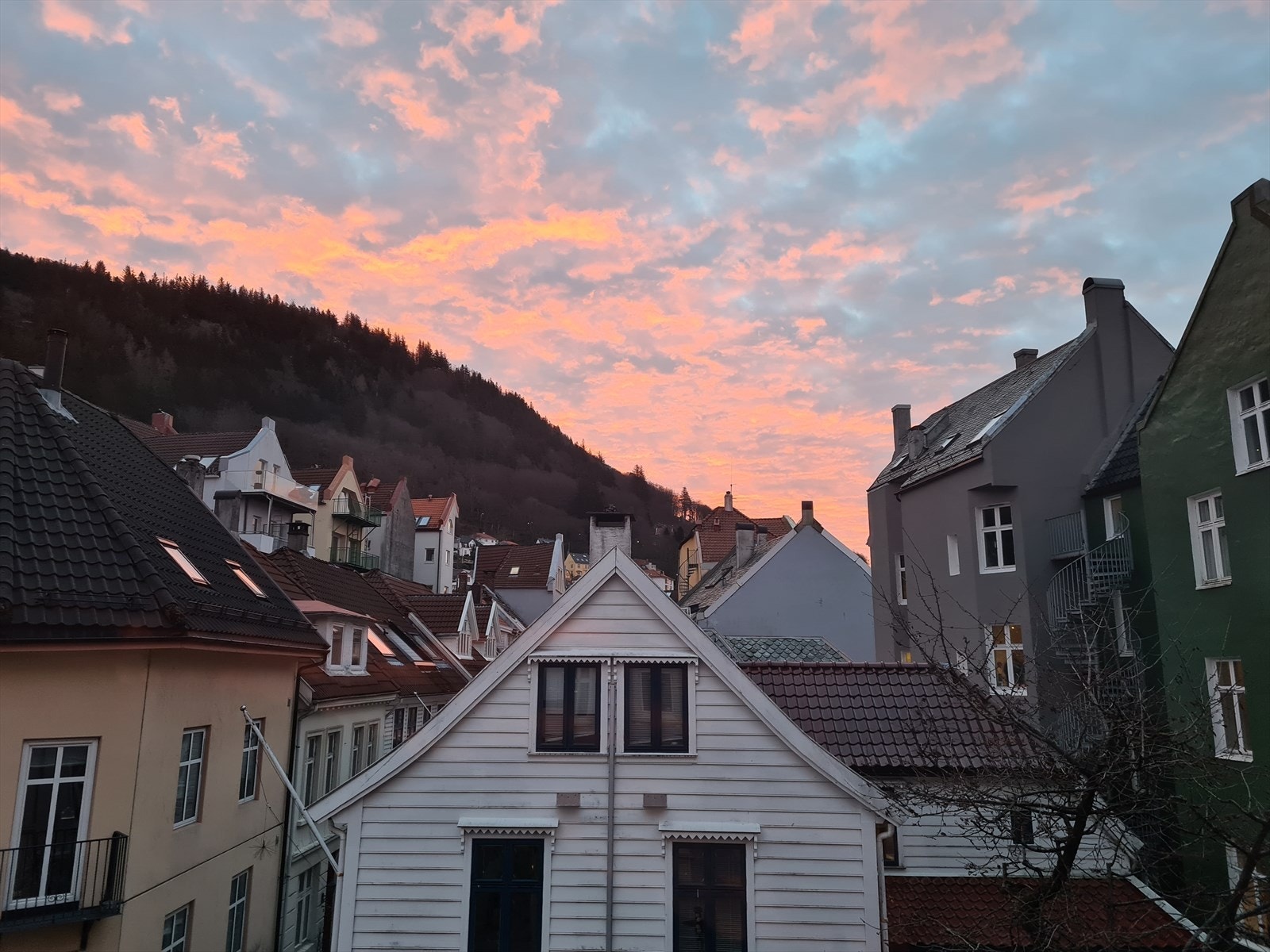 Soloppgang sett fra stuen. Galleribilde