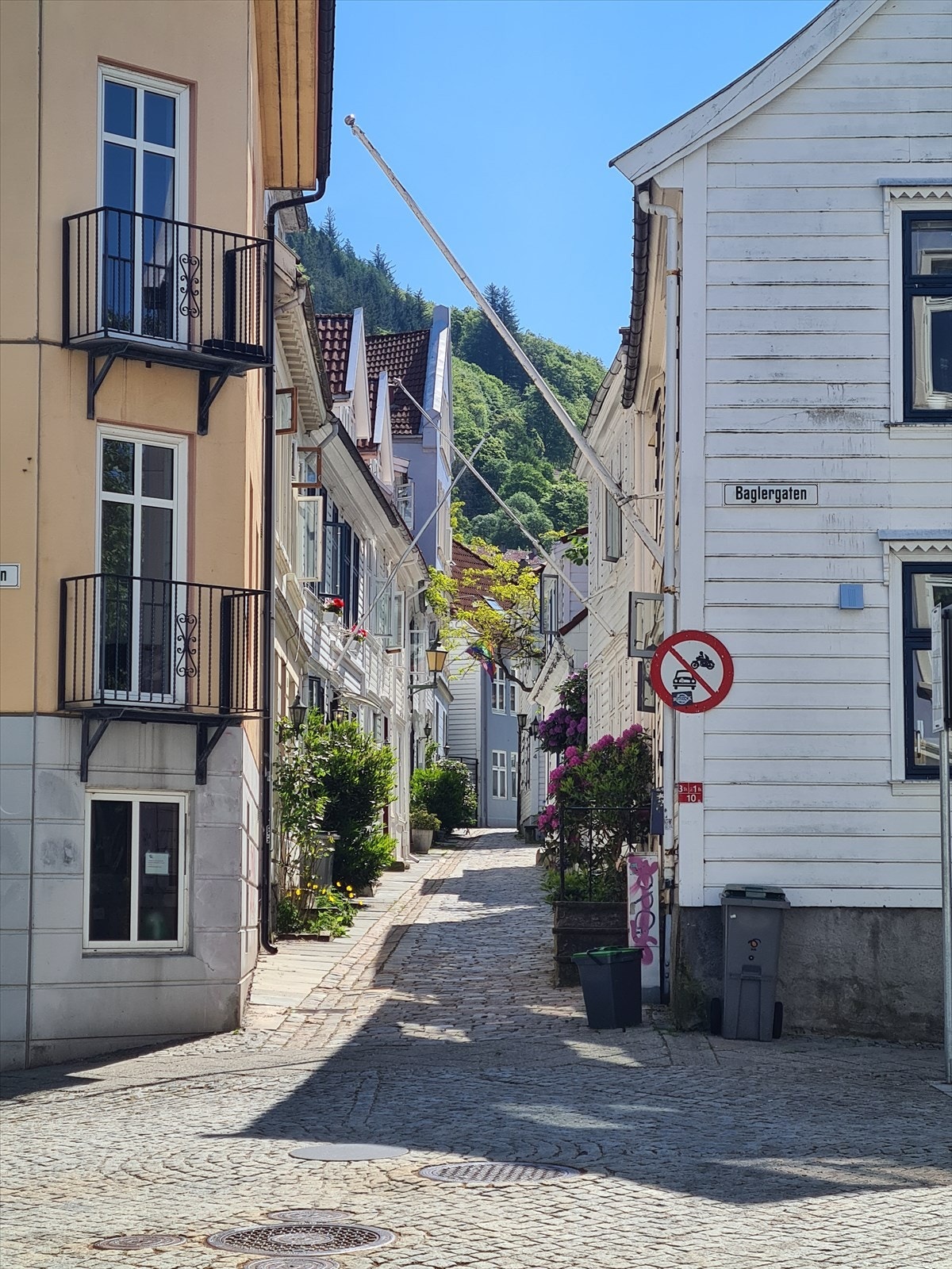 Sjarmerende Skuteviksveien med flott beplantning og klassisk Bergensbebyggelse. Galleribilde