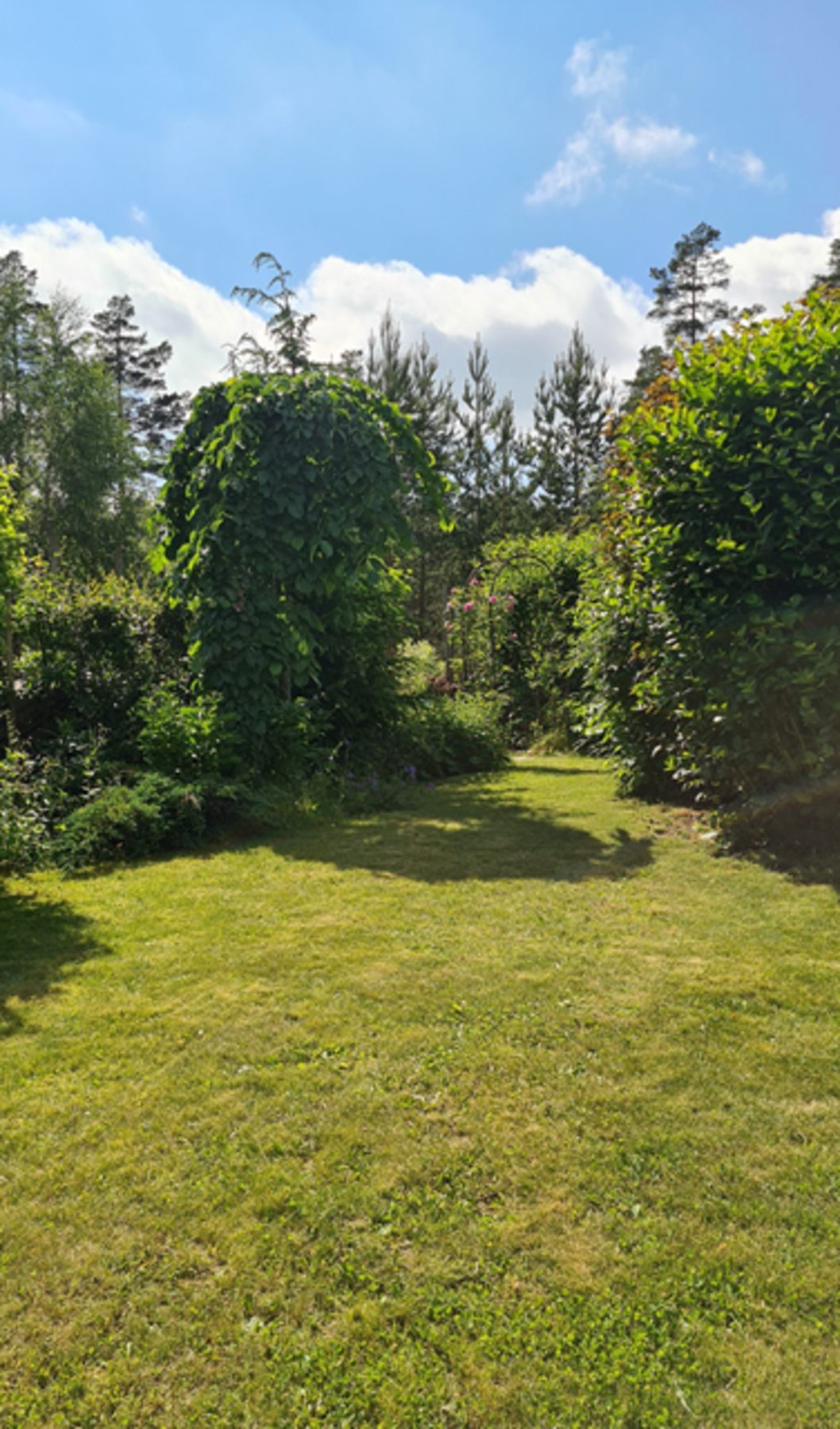 (Selgers egne bilder) Galleribilde