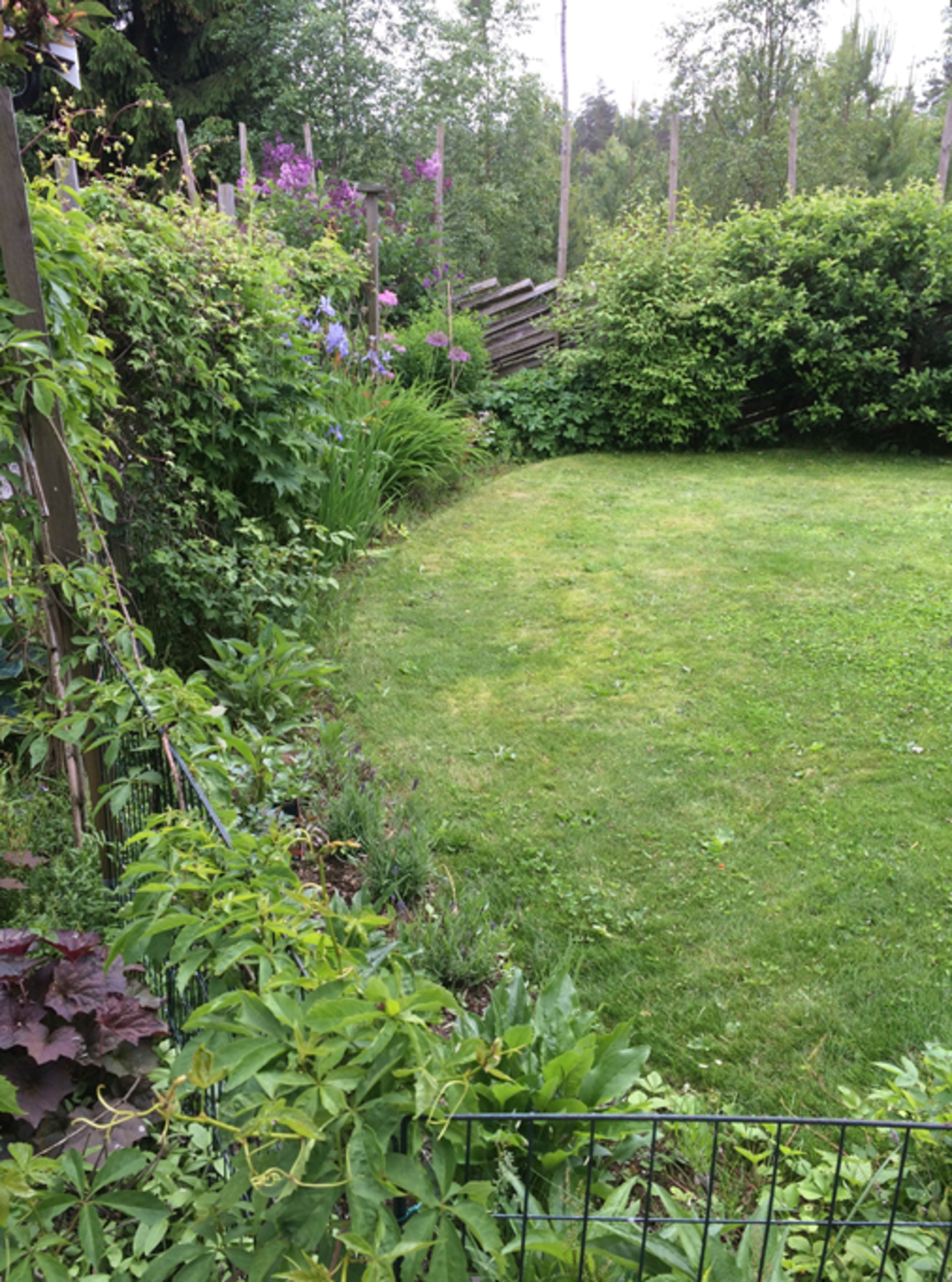 Her er det virkelig frodig og fint om sommeren. (Selgers egne bilder) Galleribilde